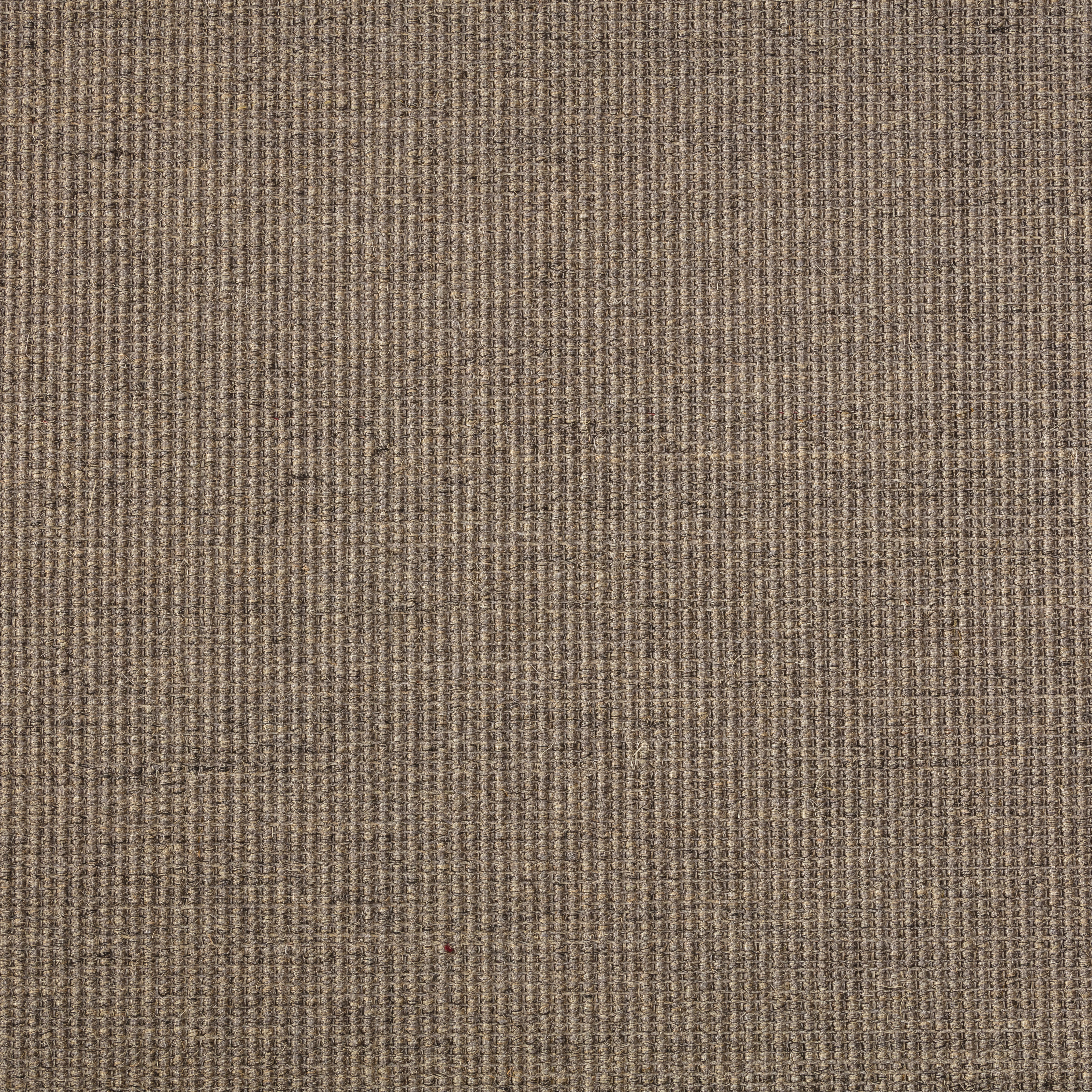 Sisal Teppich Brasilia 3150/B mit Baumwollbordüre Sisal Teppich Brasilia 3150/B mit Baumwollbordüre