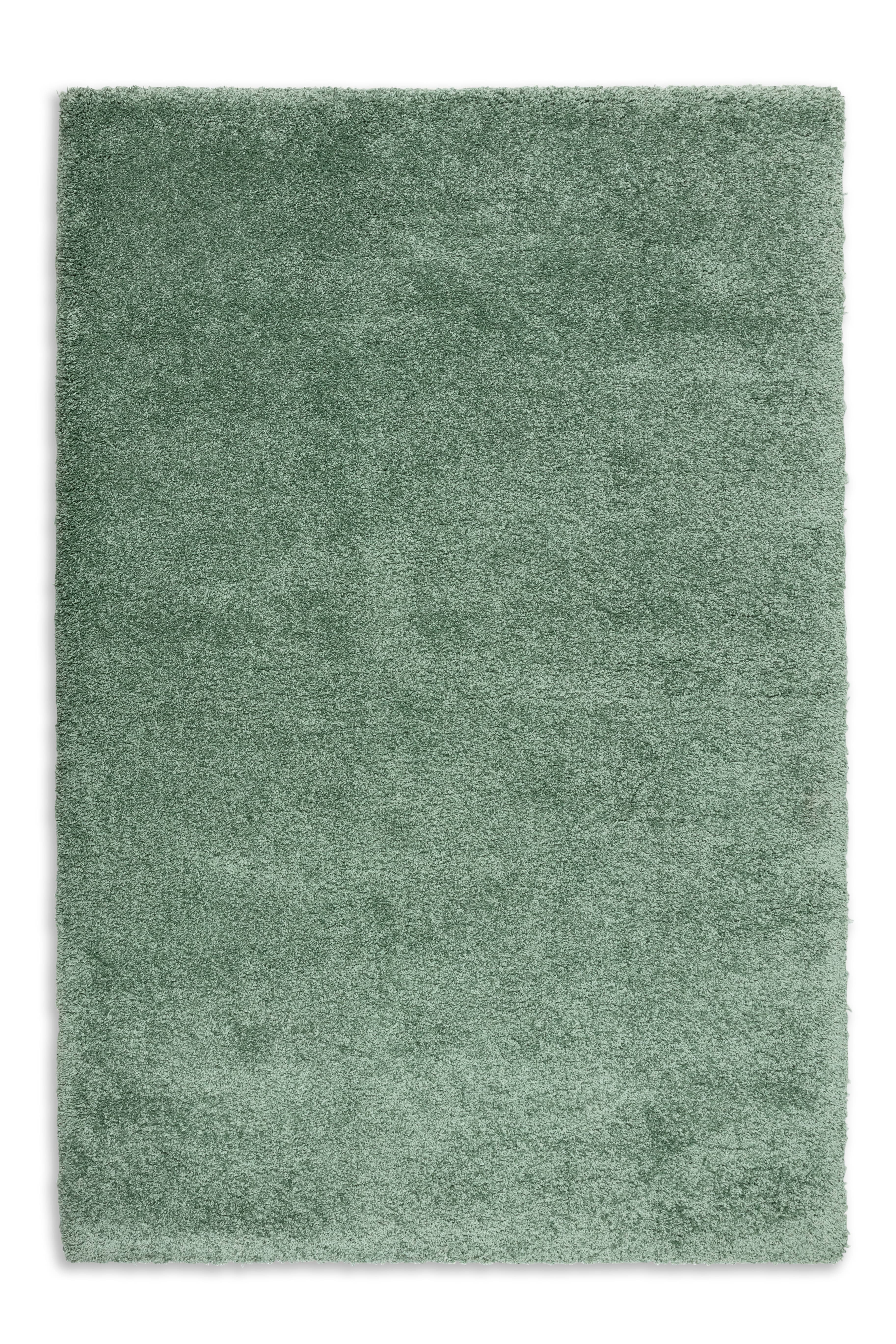 Leverage D.250 C.030 grün