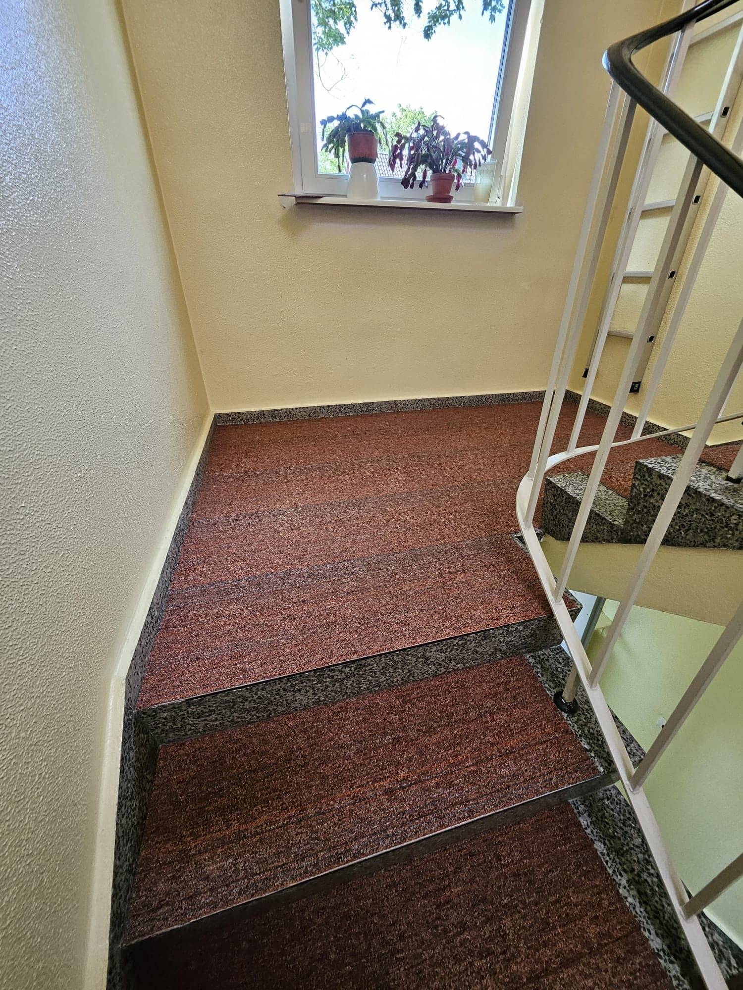 33_(1)