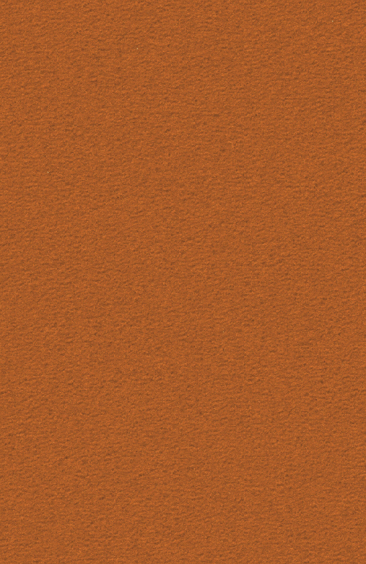 PASSION and Rugs "Modena" Vorwerk Teppich nach Maß