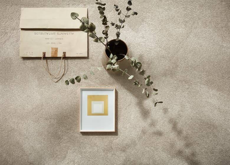 Samtige Optik mit weichem Flor