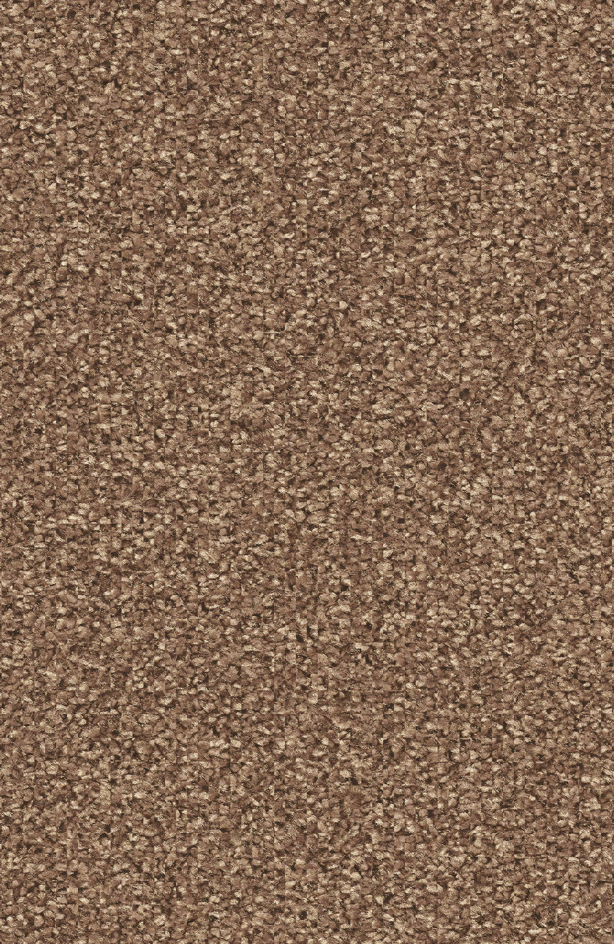 7H79_LUANA_Einzel-wg_(1)