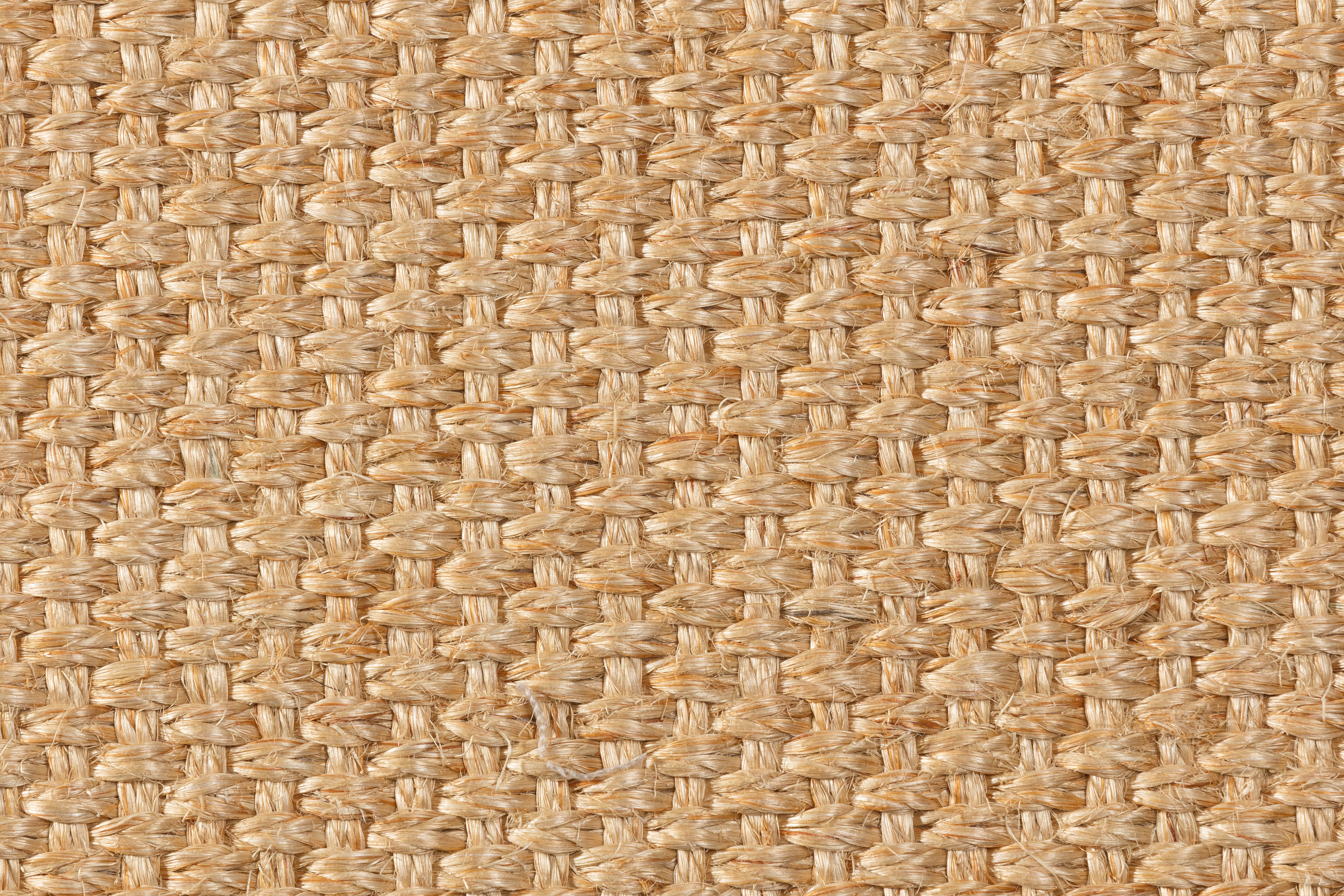 3230_007_Quito_Detail_(1)