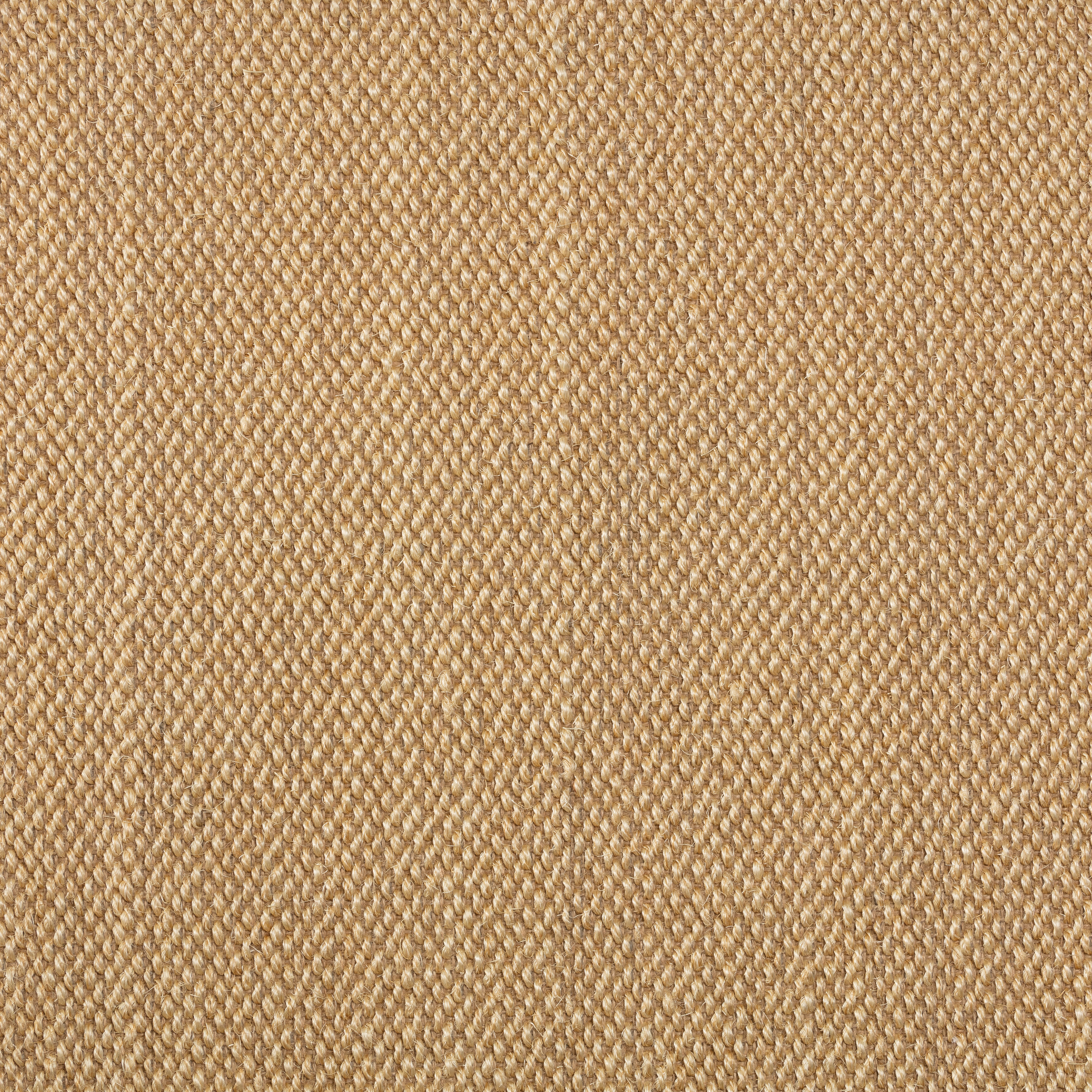 Sisal Teppichboden Barinas 3580/B beschichtet Sisal Teppichboden Barinas 3580/B beschichtet