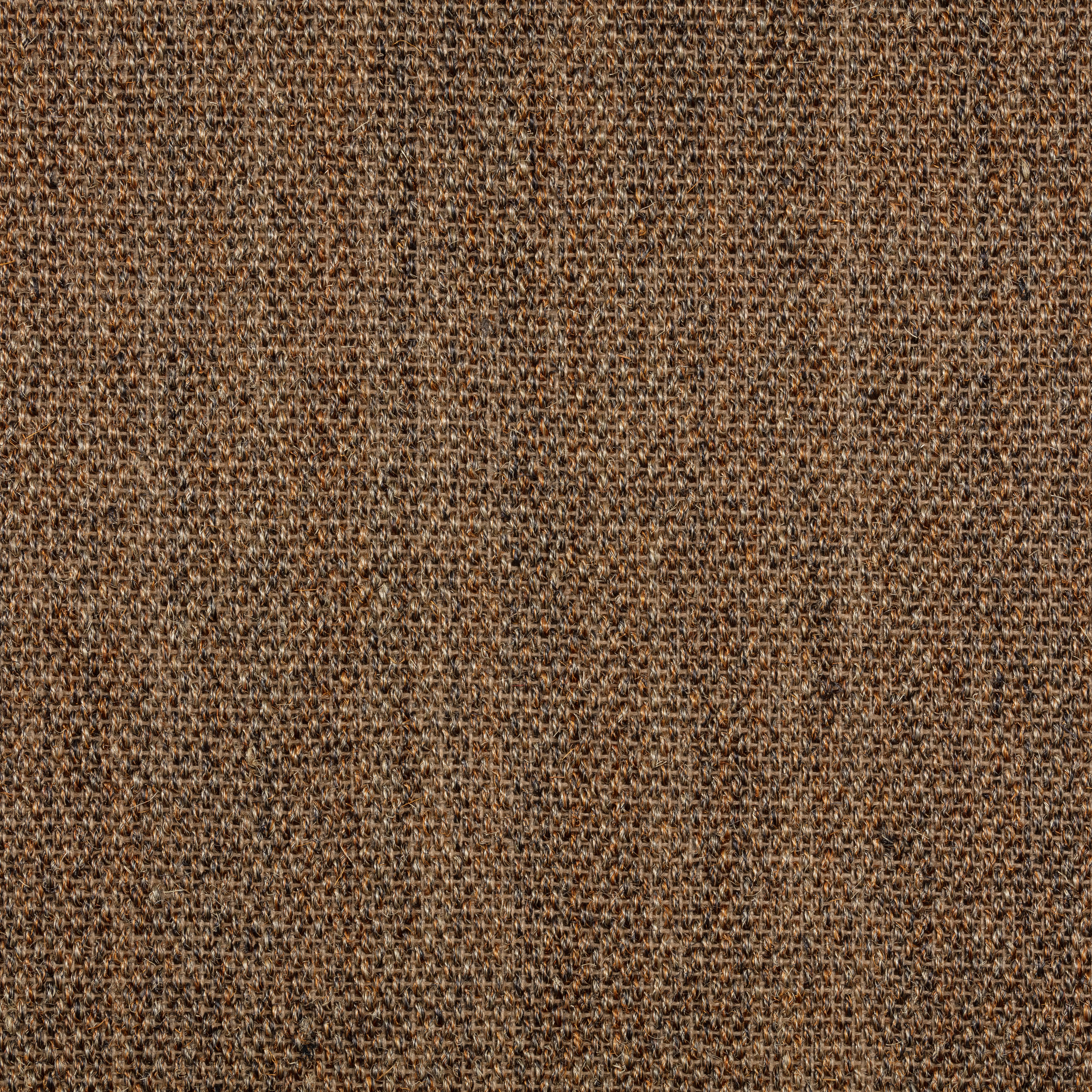 Sisal Teppichboden Barinas 3580/B beschichtet