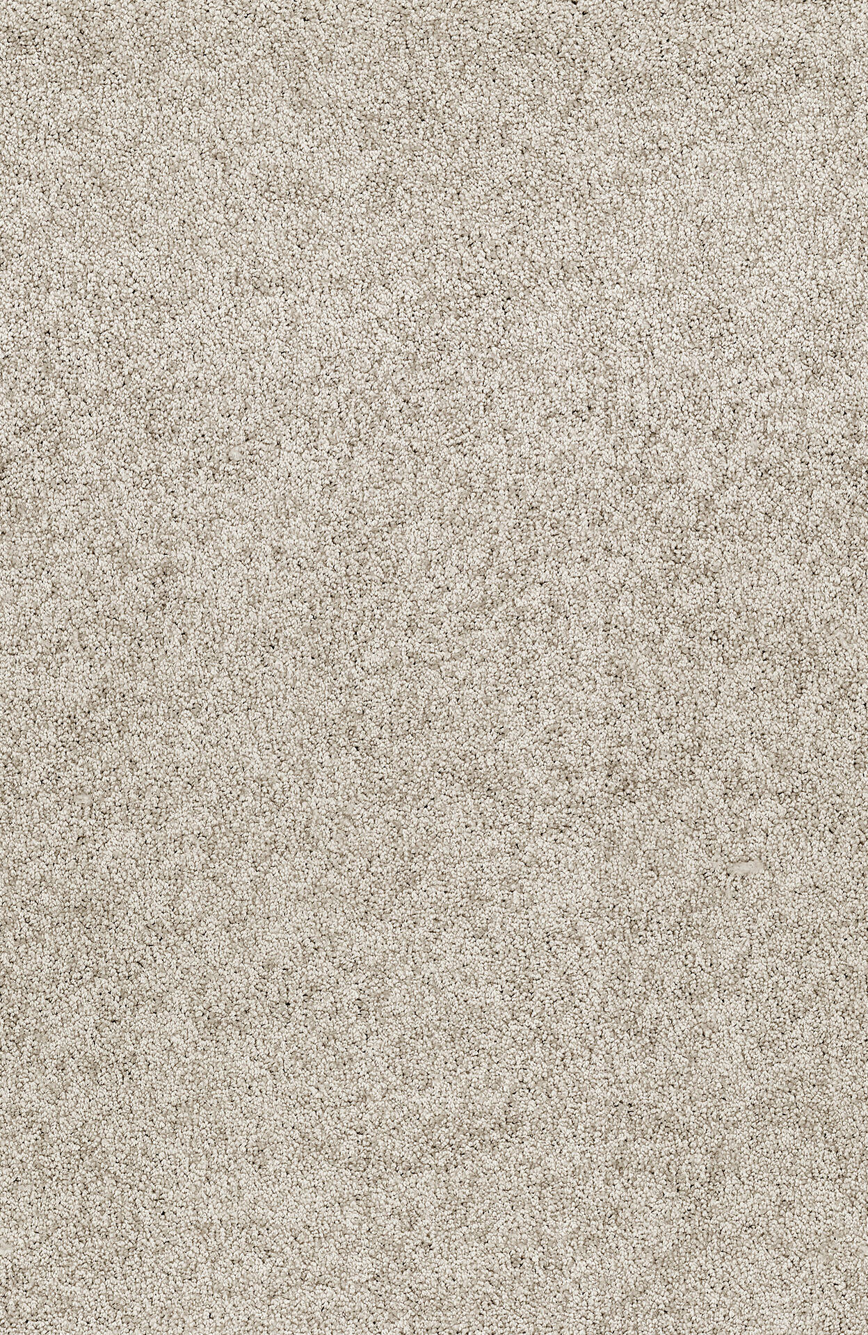 PASSION and Rugs "Yasmin" Vorwerk Teppichboden PASSION and Rugs "Yasmin" Vorwerk Teppichboden