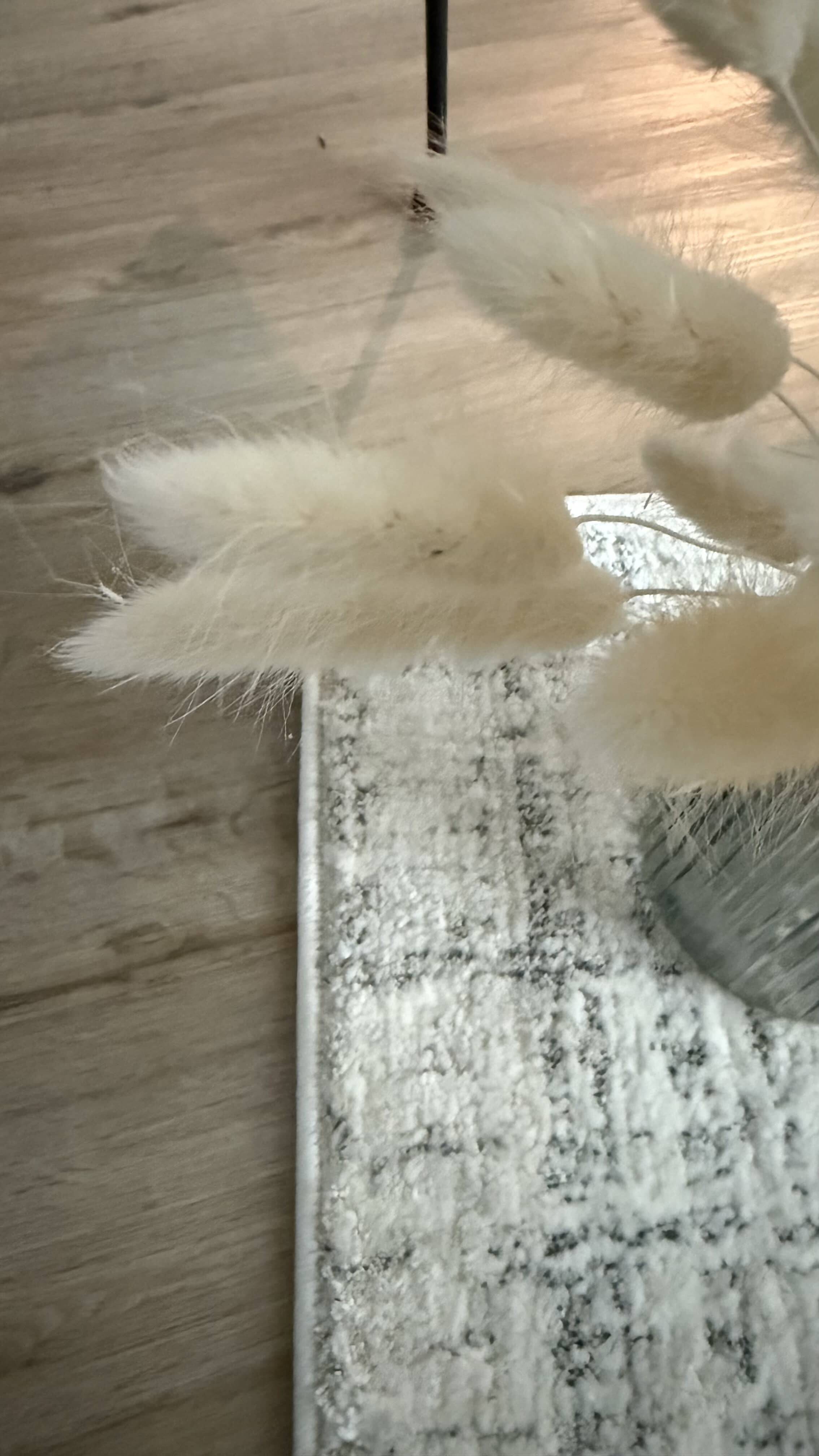 Maglie Designteppich Maglie Designteppich