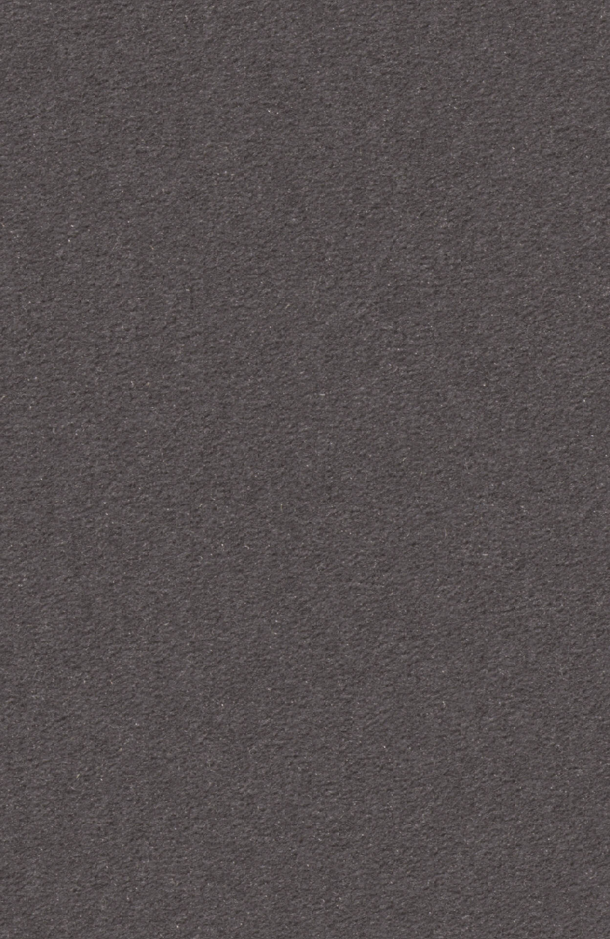 PASSION and Rugs "Modena" Vorwerk Teppich nach Maß PASSION and Rugs "Modena" Vorwerk Teppich nach Maß