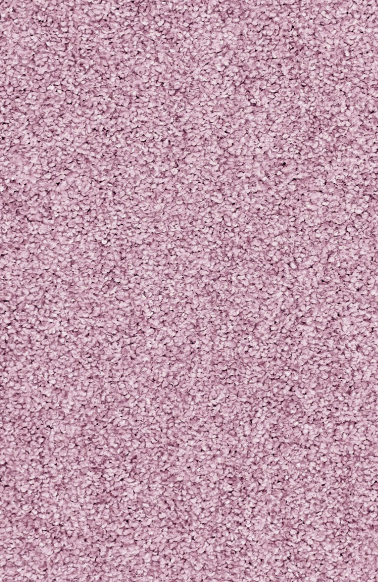 PASSION and Rugs "Conzano" Vorwerk Teppich nach Maß