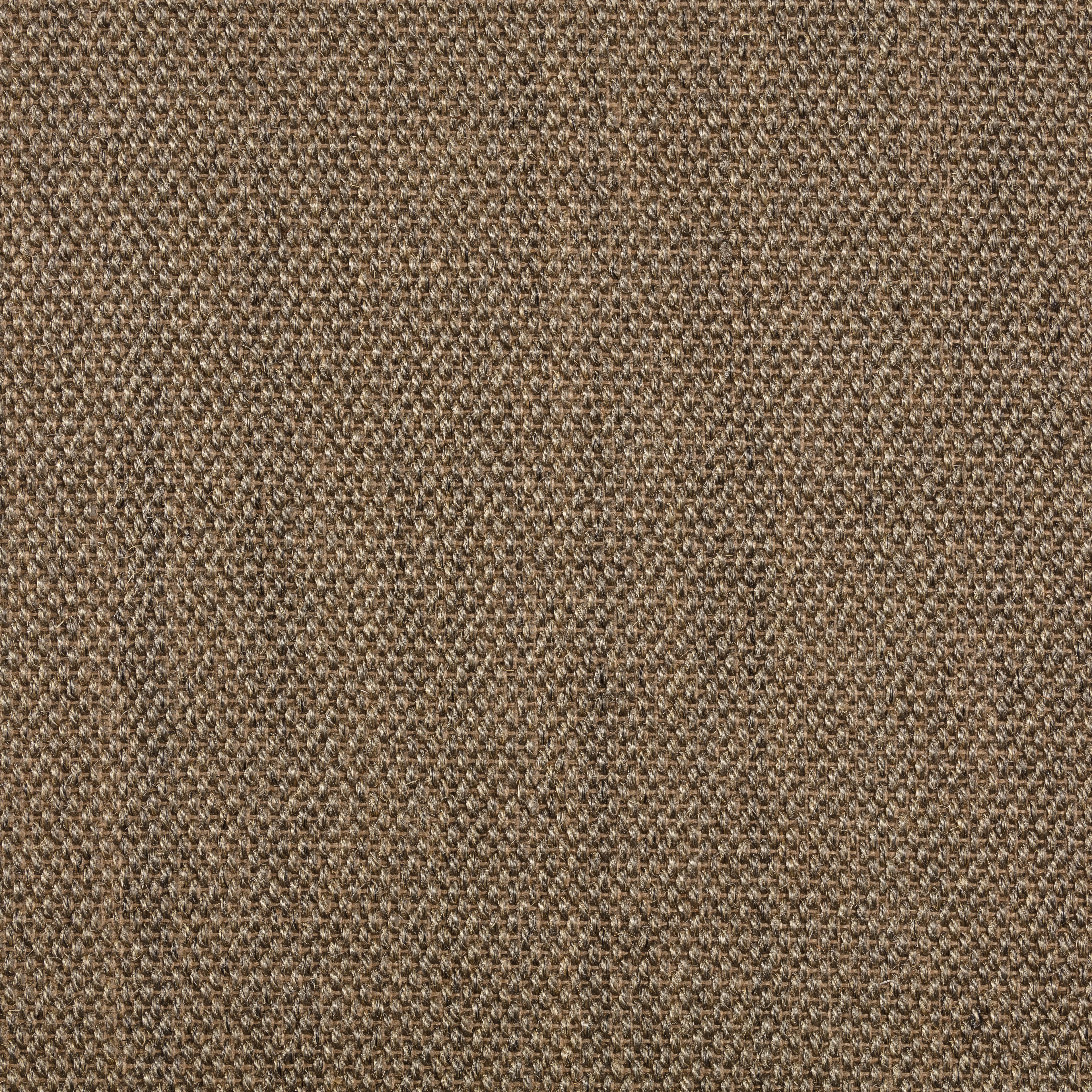 Sisal Teppichboden Barinas 3580/B beschichtet Sisal Teppichboden Barinas 3580/B beschichtet