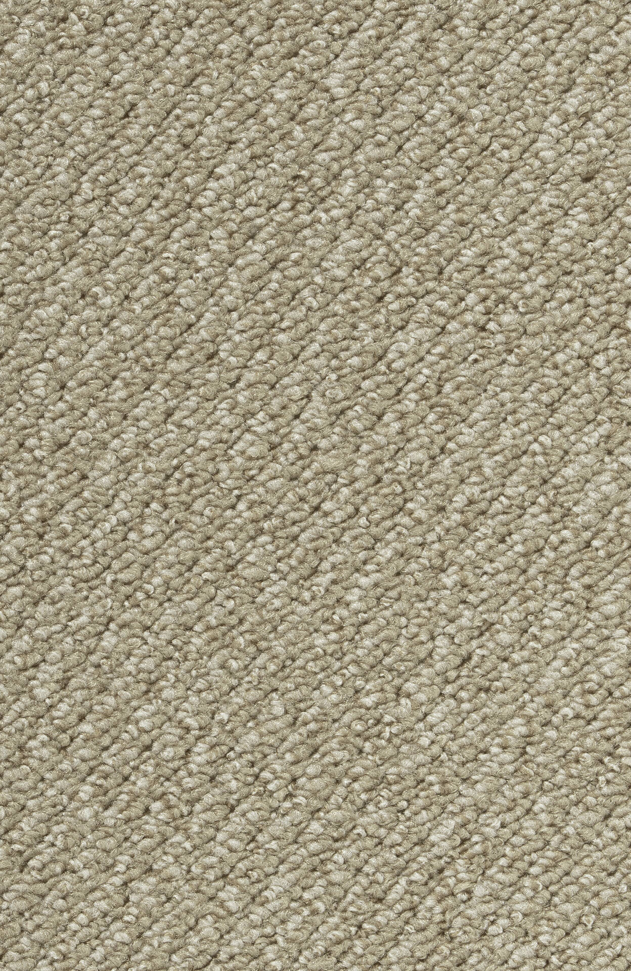 PASSION and Rugs "Telma" Vorwerk Teppichboden