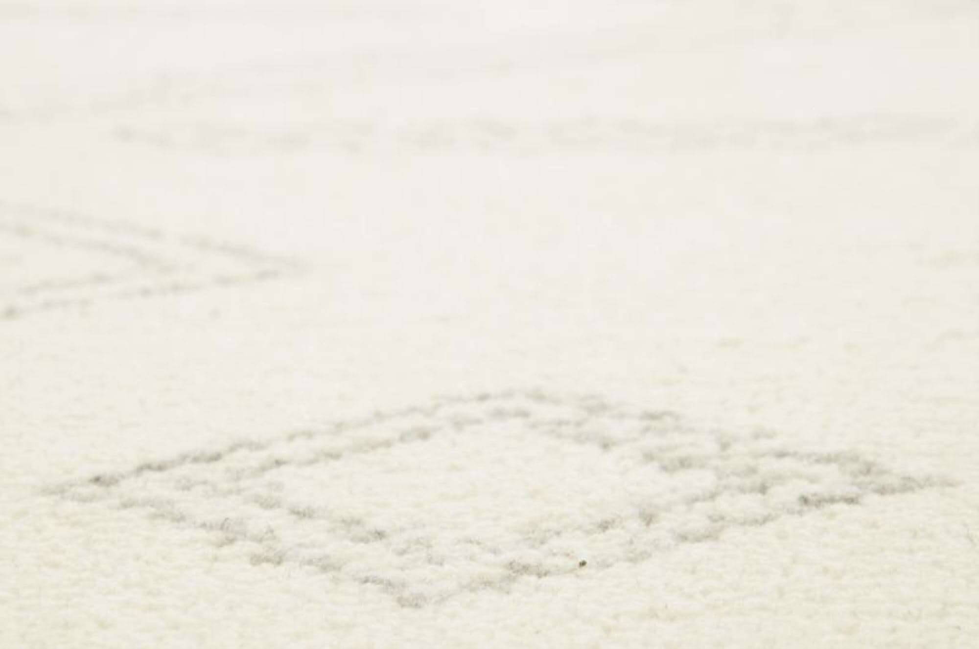 Zarbia_007_997_422921_3 Berber Teppich Zarbia 170x240cm Handgeknüpft Teppich Marokko