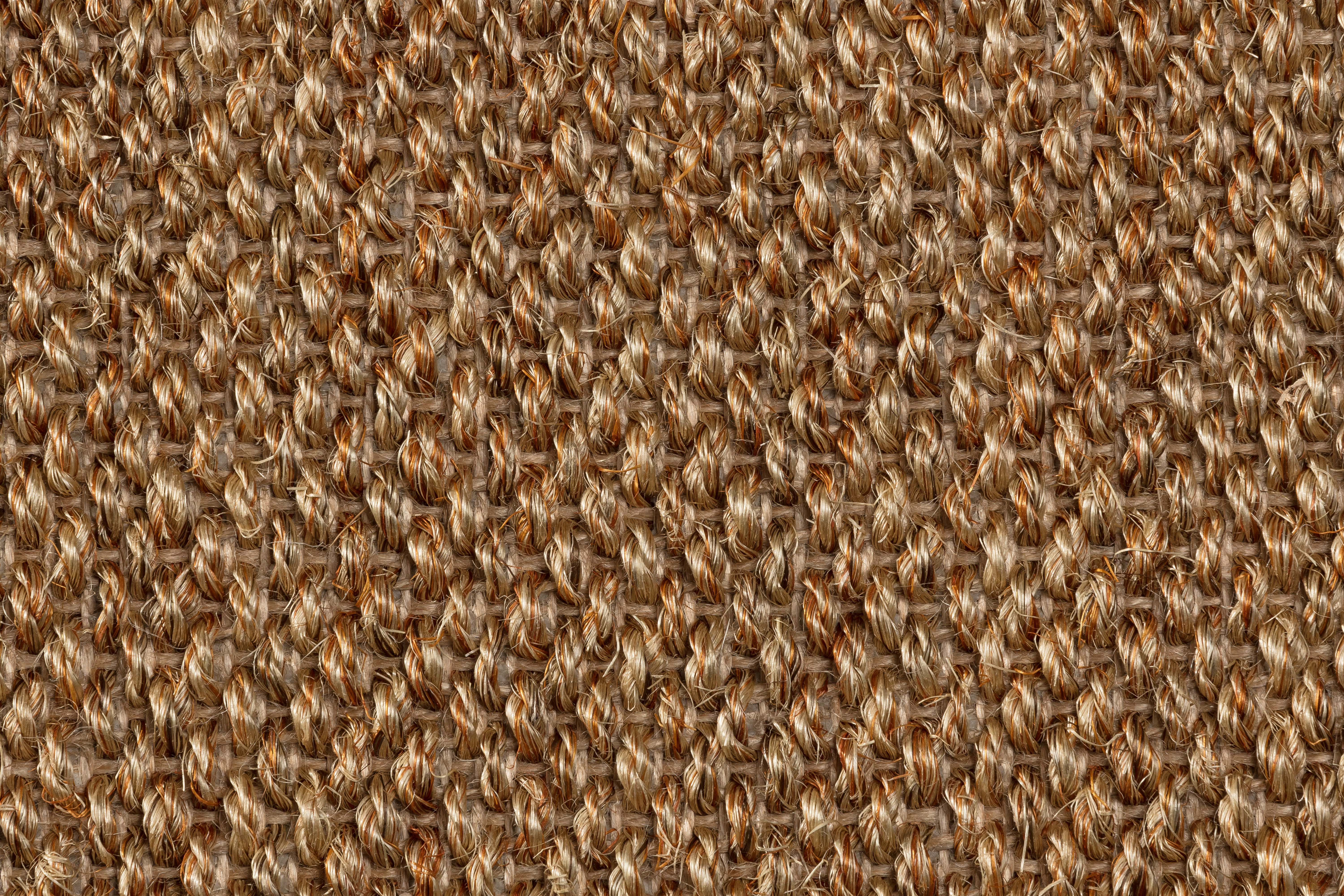 Sisal Teppichboden Barinas 3580/B beschichtet Sisal Teppichboden Barinas 3580/B beschichtet