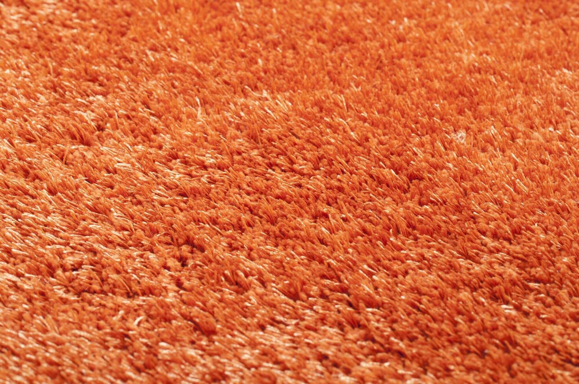 Alessia_Uni_450terra_408075_3 Teppich uni Alessia Shaggy Kuschelteppich