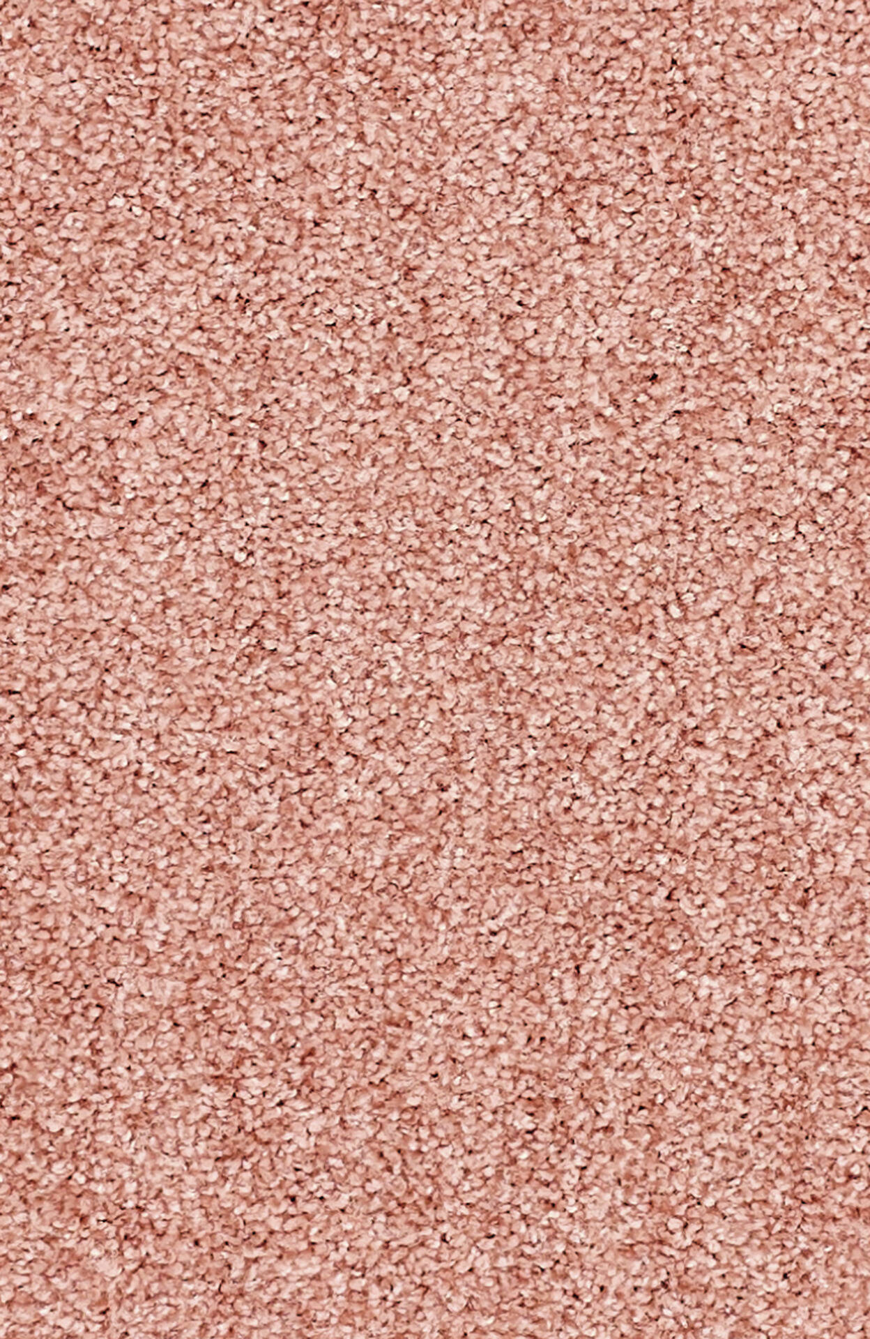 PASSION and Rugs "Conzano" Vorwerk Teppich nach Maß