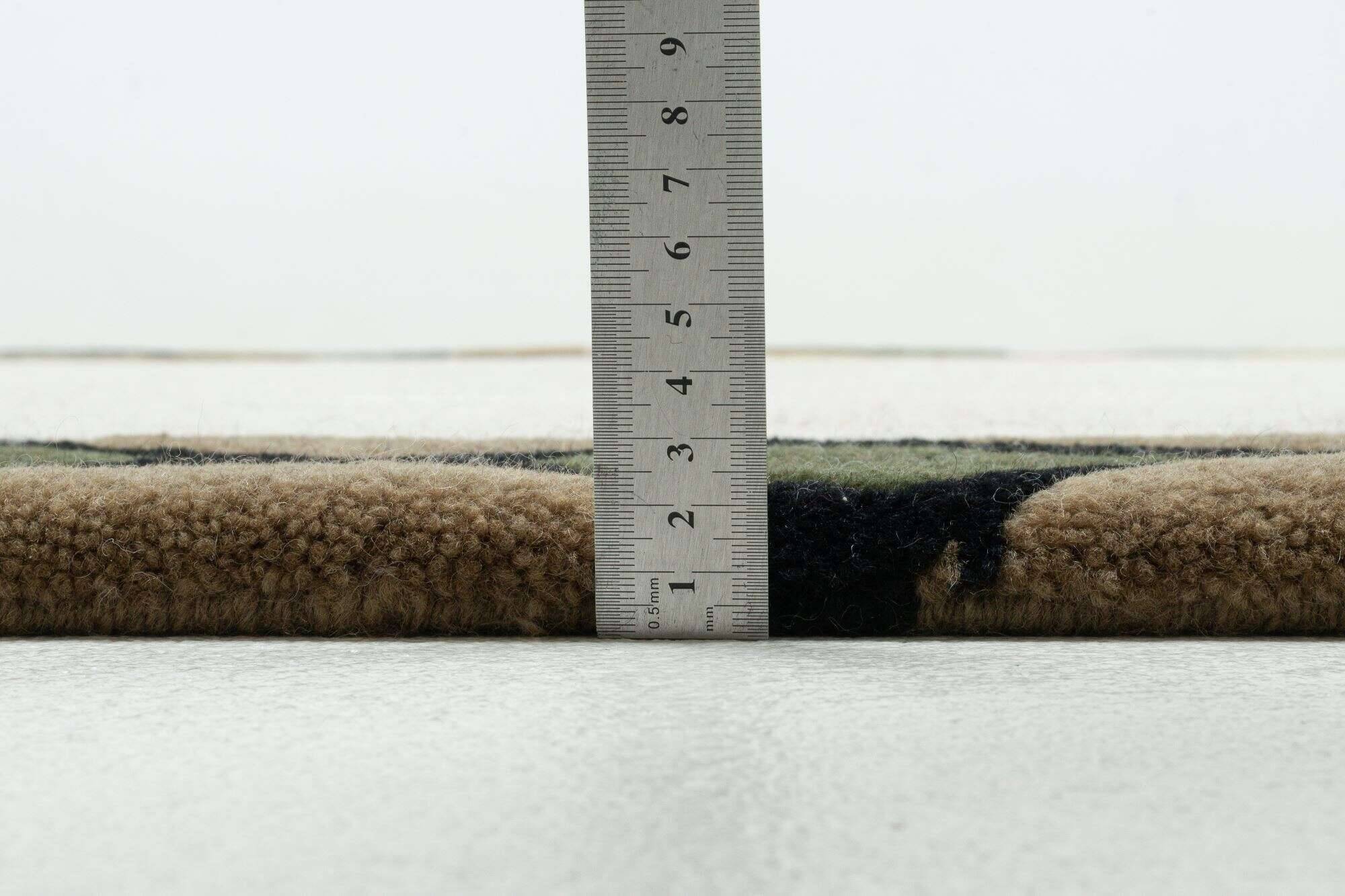 baktapur_bt269_550beige_415645_5 Nepal Teppich Baktapur Elegance im Wunschmaß