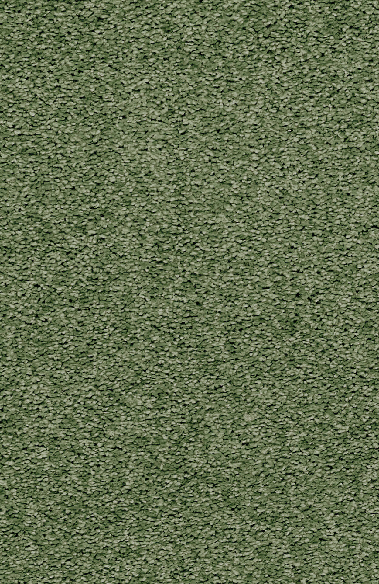 4H34_LUANA_Einzel-wg_(1)