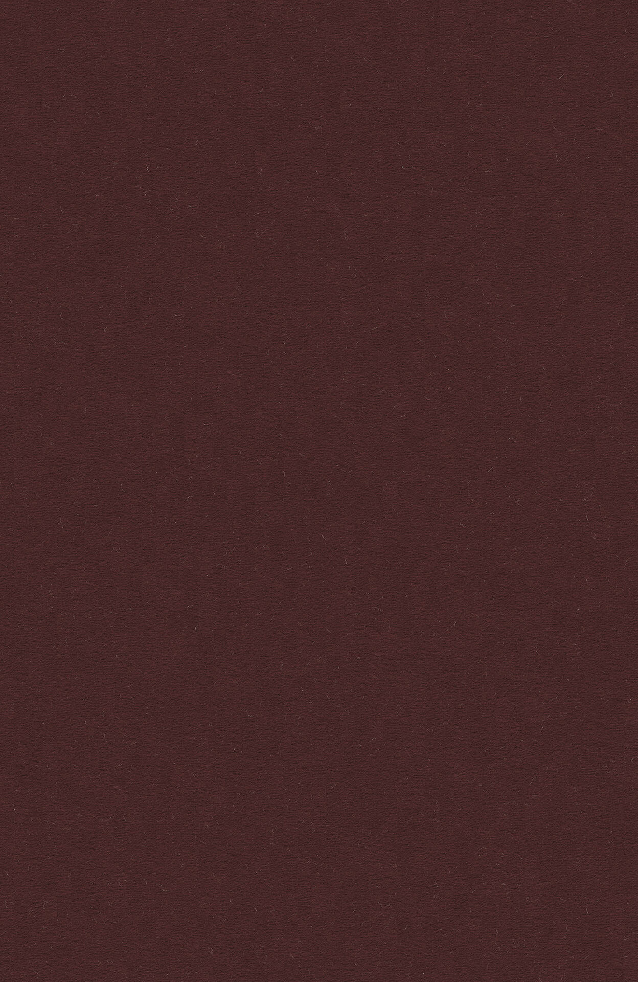 7H86_MODENA_Einzel-wg_(1)