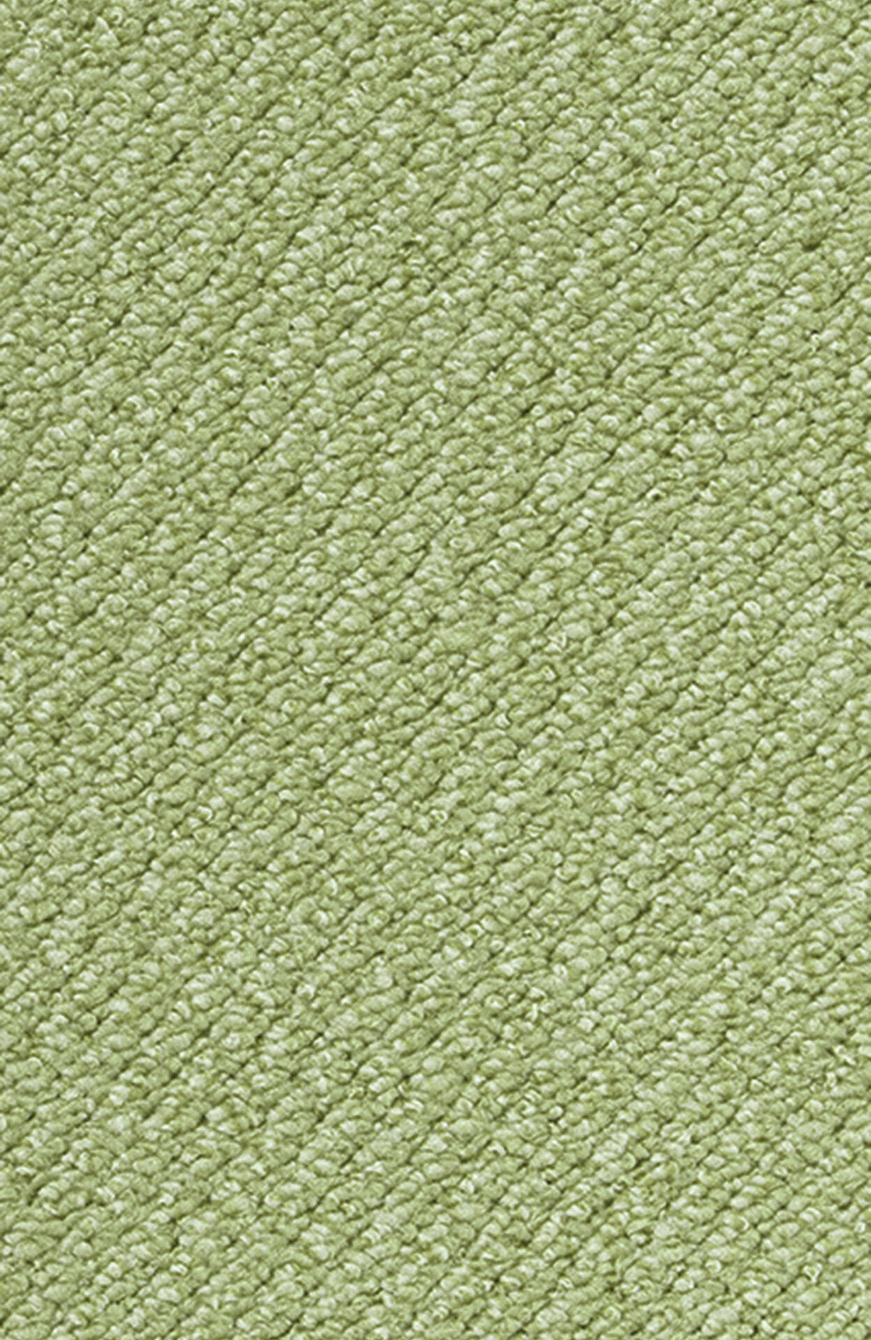 PASSION and Rugs "Telma" Vorwerk Teppichboden PASSION and Rugs "Telma" Vorwerk Teppichboden