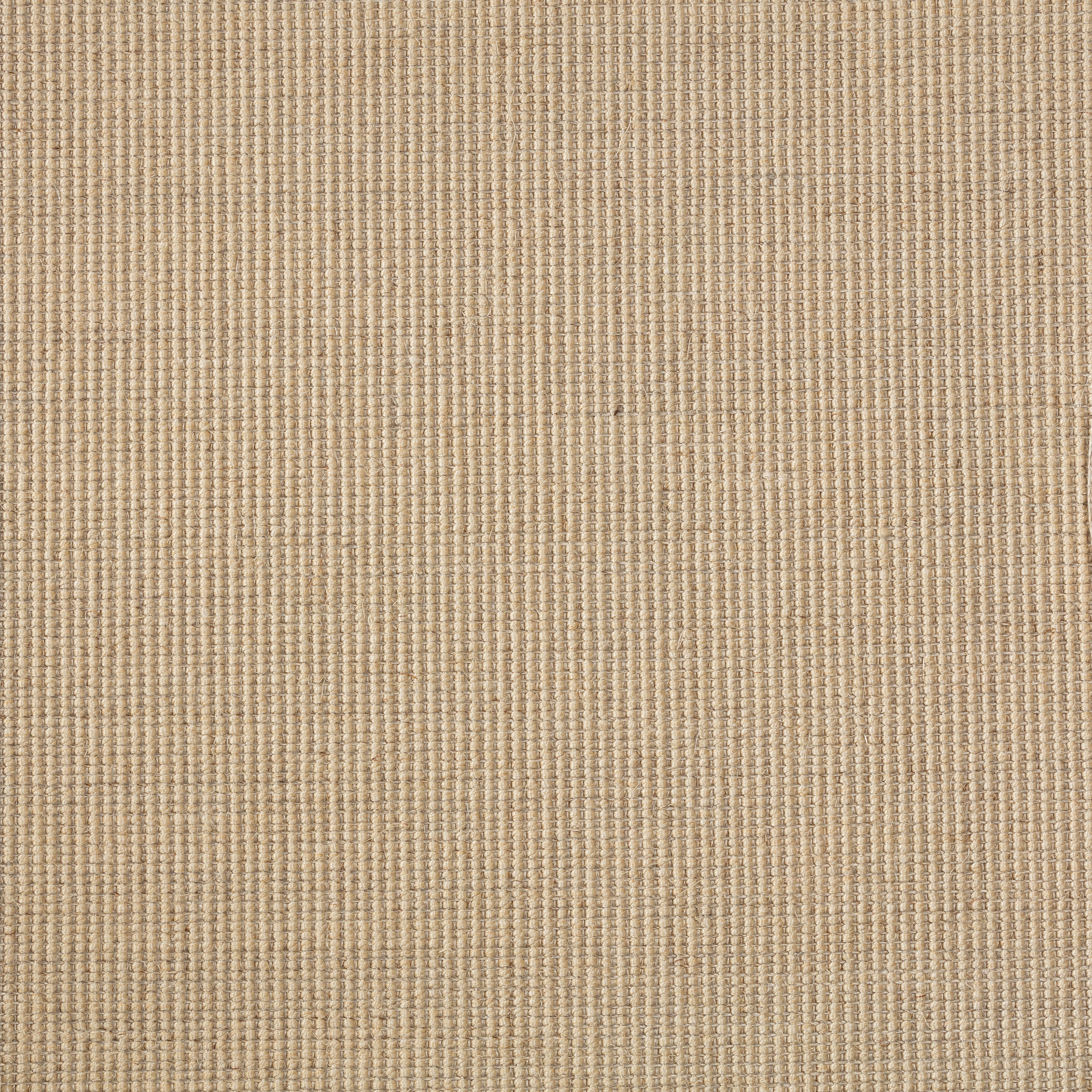Sisal Teppichboden Brasilia 3150/B beschichtet