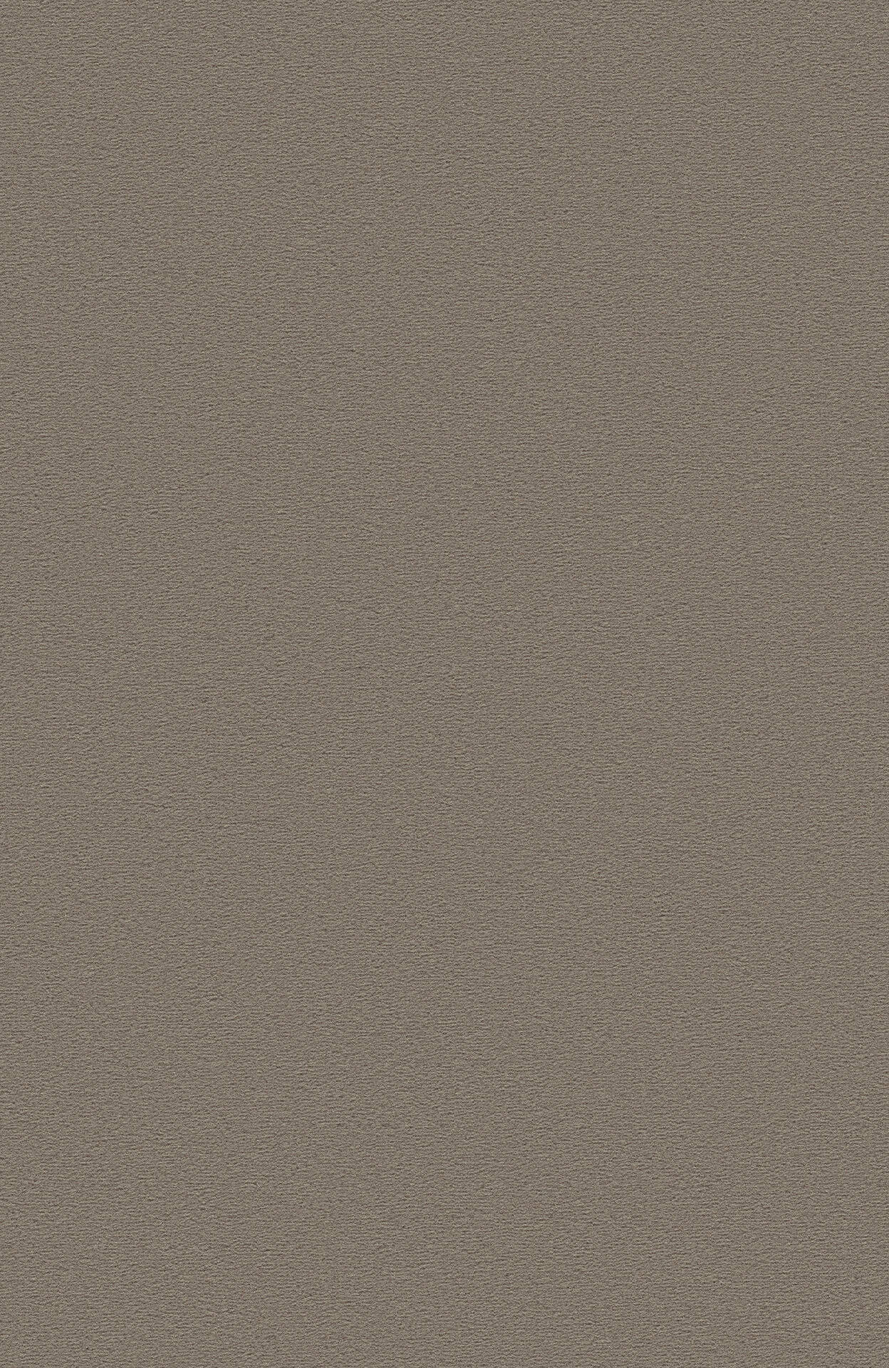 5T08_MODENA_Einzel-wg_(1)