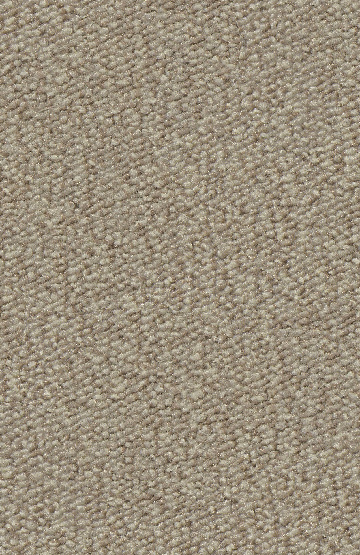 PASSION and Rugs "Rondo" Vorwerk Teppichboden