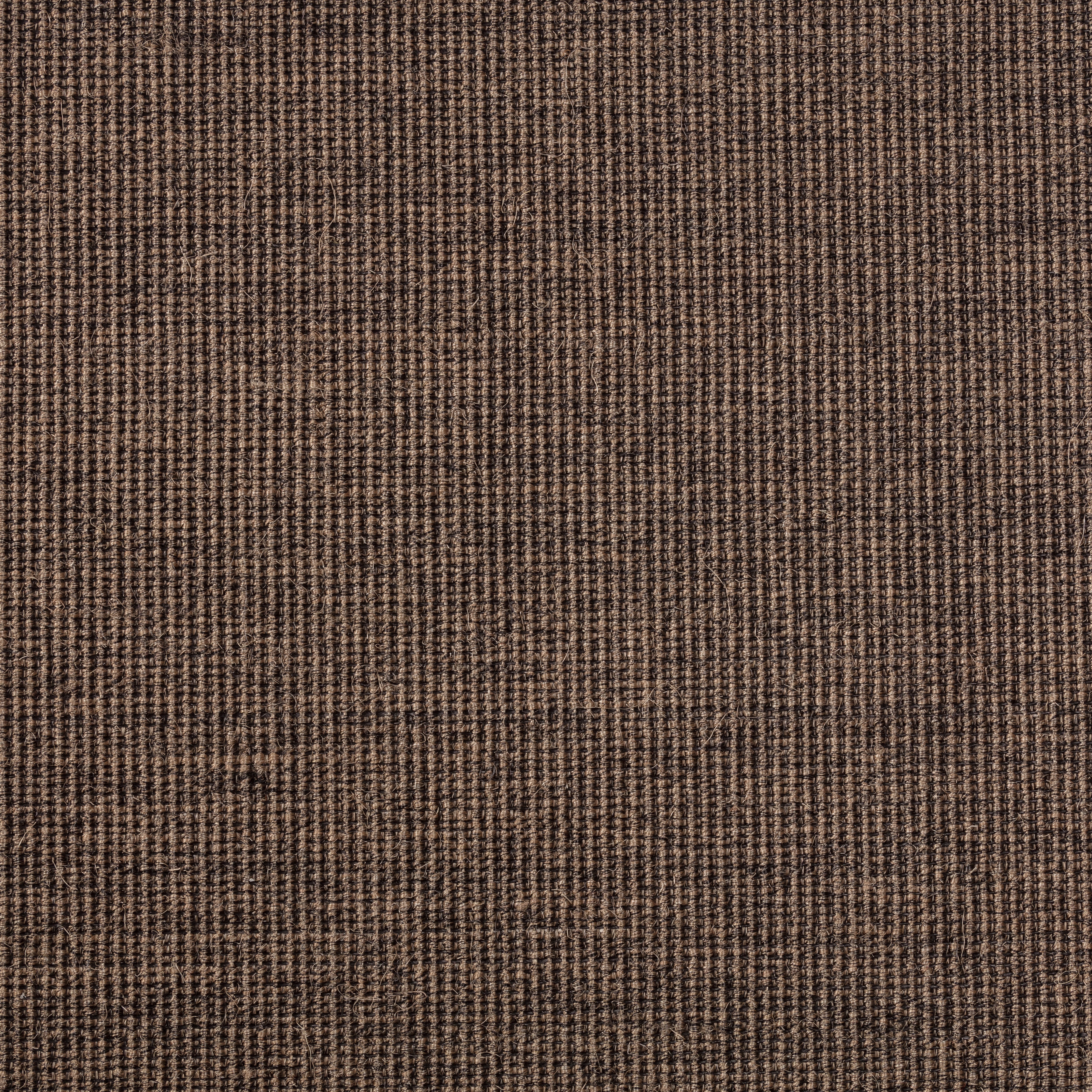 Sisal Teppich Brasilia 3150/B mit Baumwollbordüre Sisal Teppich Brasilia 3150/B mit Baumwollbordüre