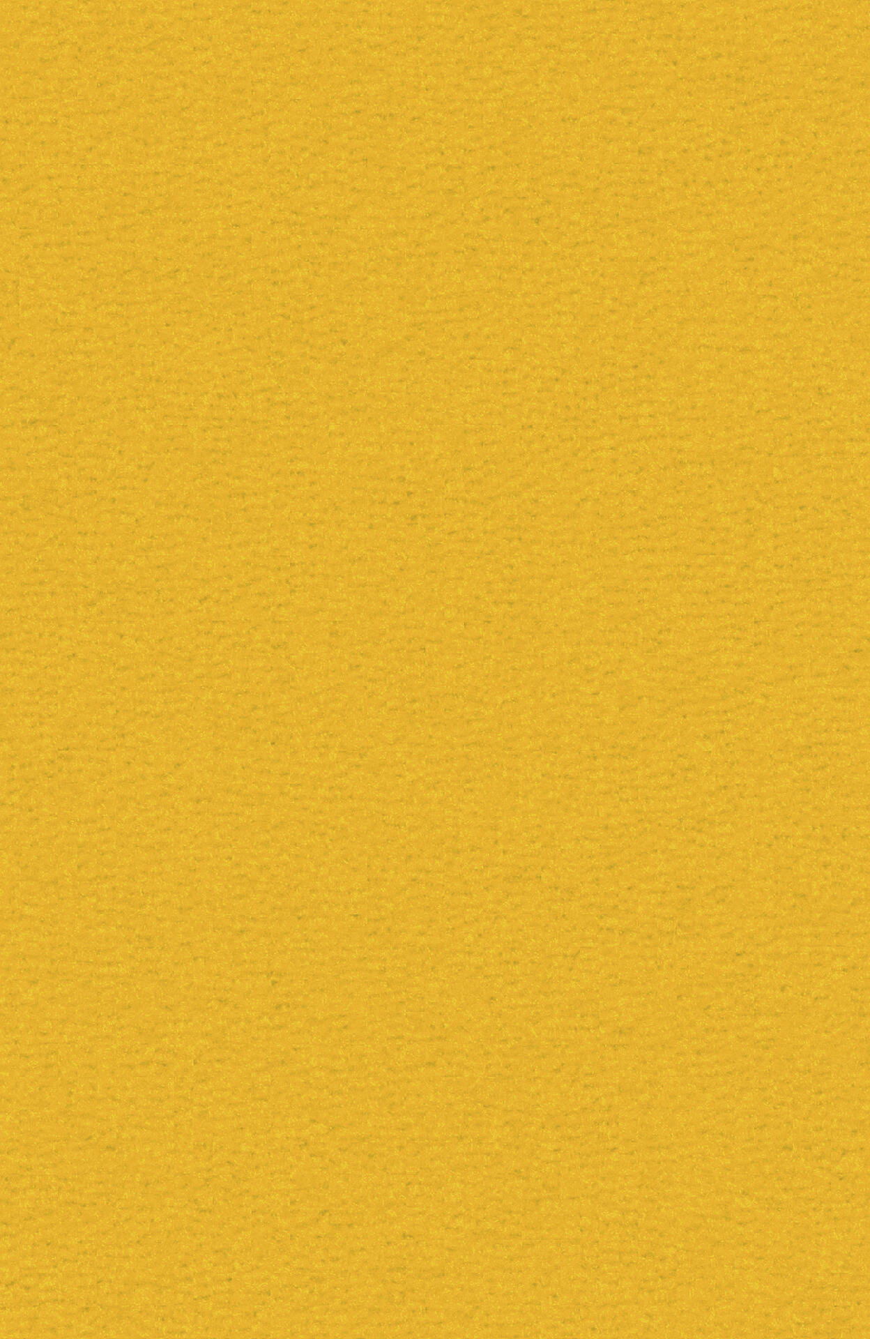 PASSION and Rugs "Bingo" Vorwerk Teppich nach Maß