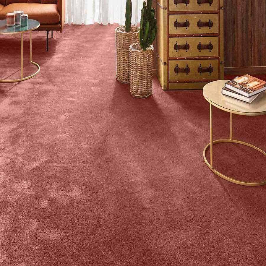 Vorwerk Teppich als Test Vorwerk Teppich als Test