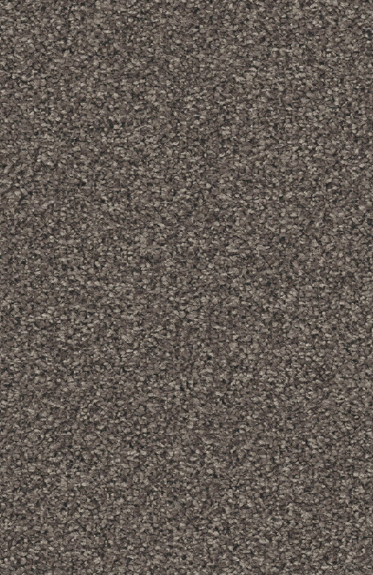 7F73_LUANA_Einzel-wg_(1)