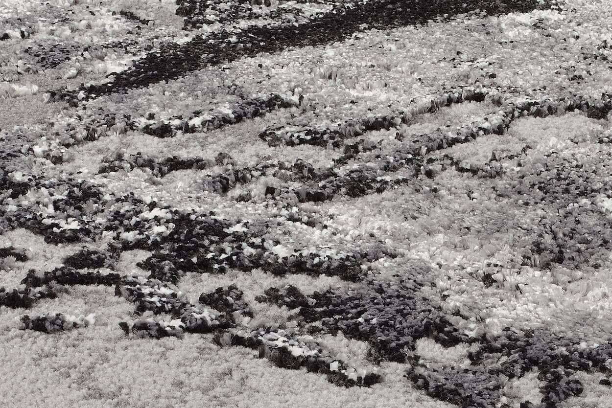 JUW01-566-8 Juwel Liray OCI Teppich Läufer Galerie Flurteppich