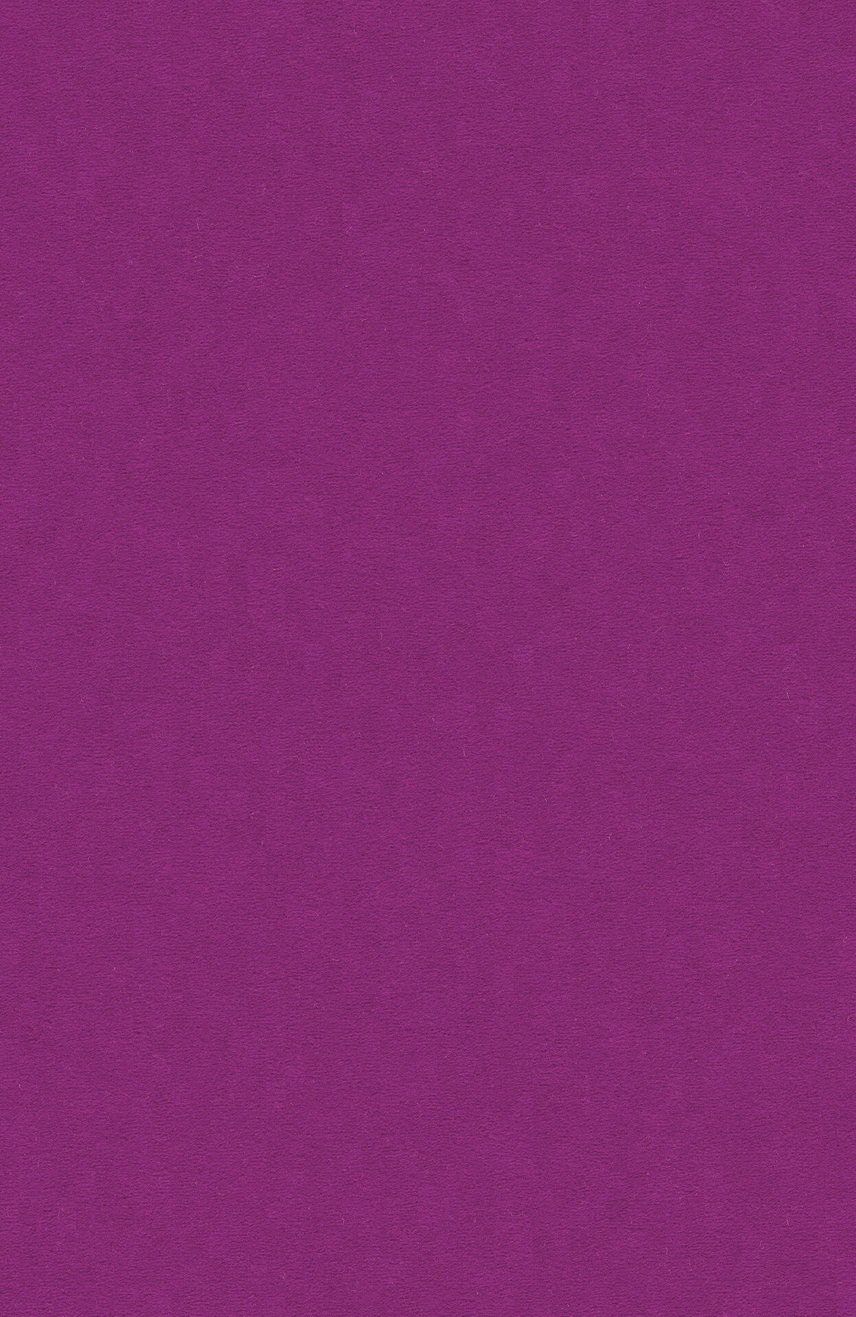 PASSION and Rugs "Modena" Vorwerk Teppich nach Maß PASSION and Rugs "Modena" Vorwerk Teppich nach Maß