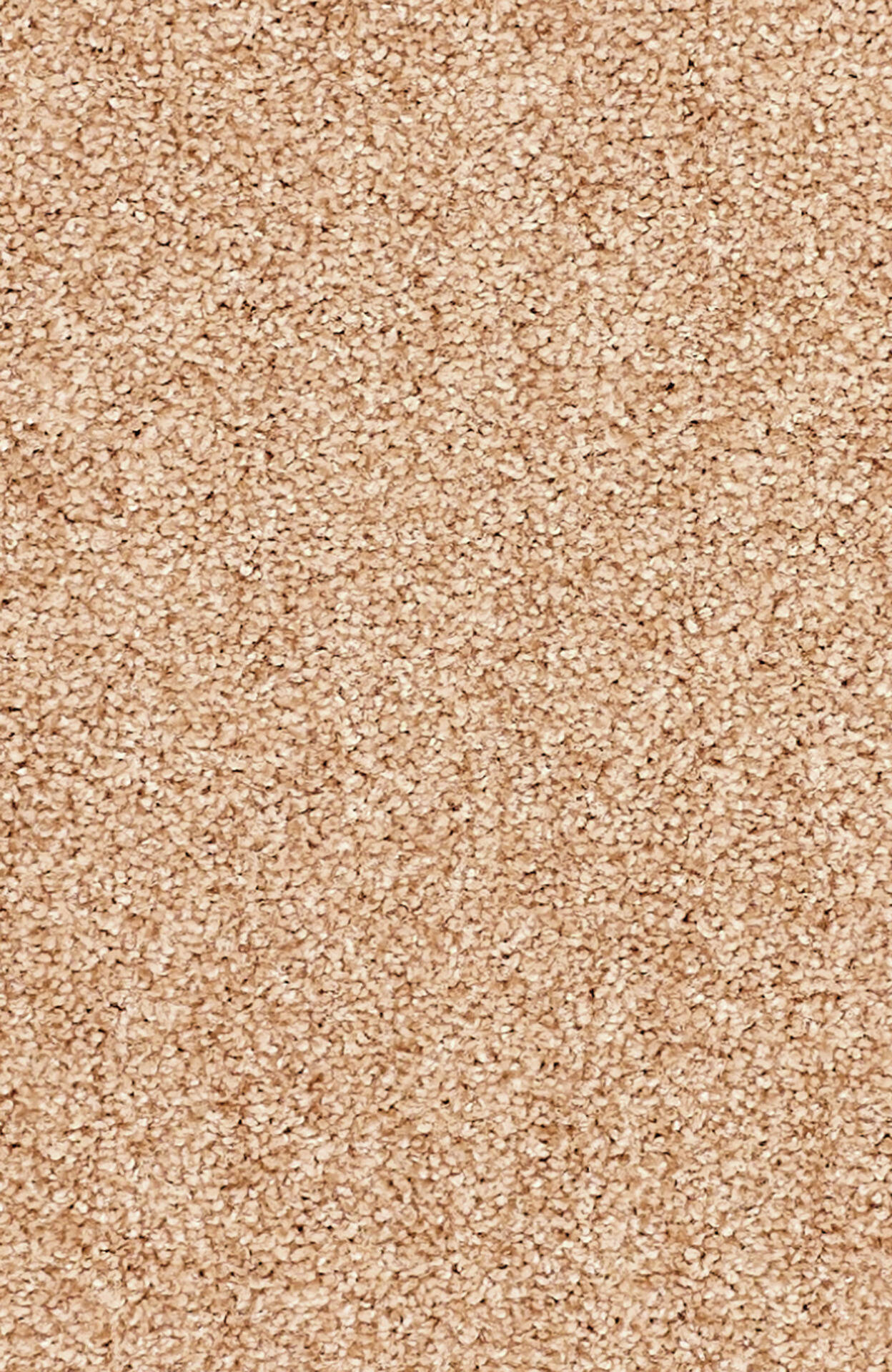 PASSION and Rugs "Conzano" Vorwerk Teppich nach Maß