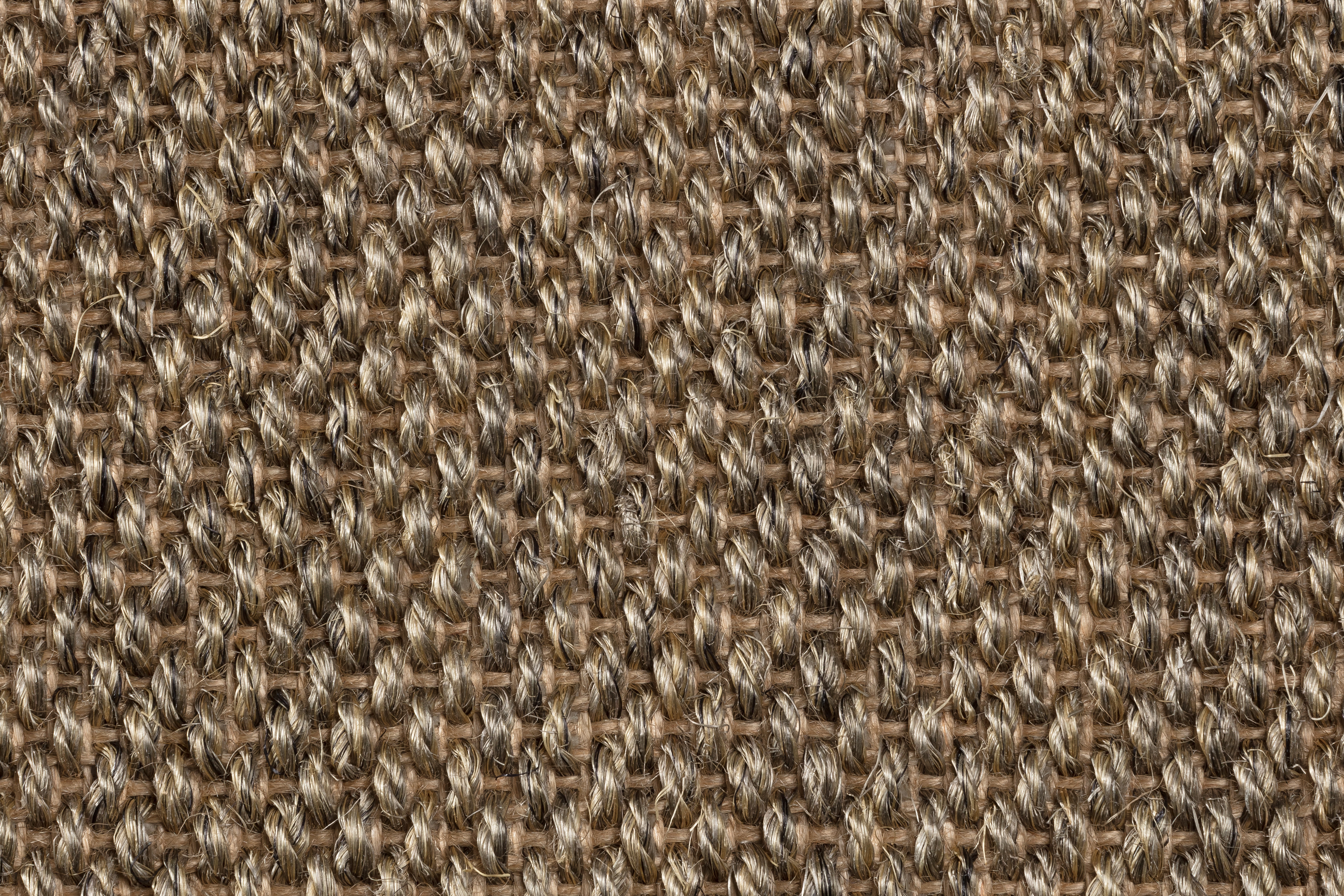 Sisal Teppichboden Barinas 3580/B beschichtet Sisal Teppichboden Barinas 3580/B beschichtet