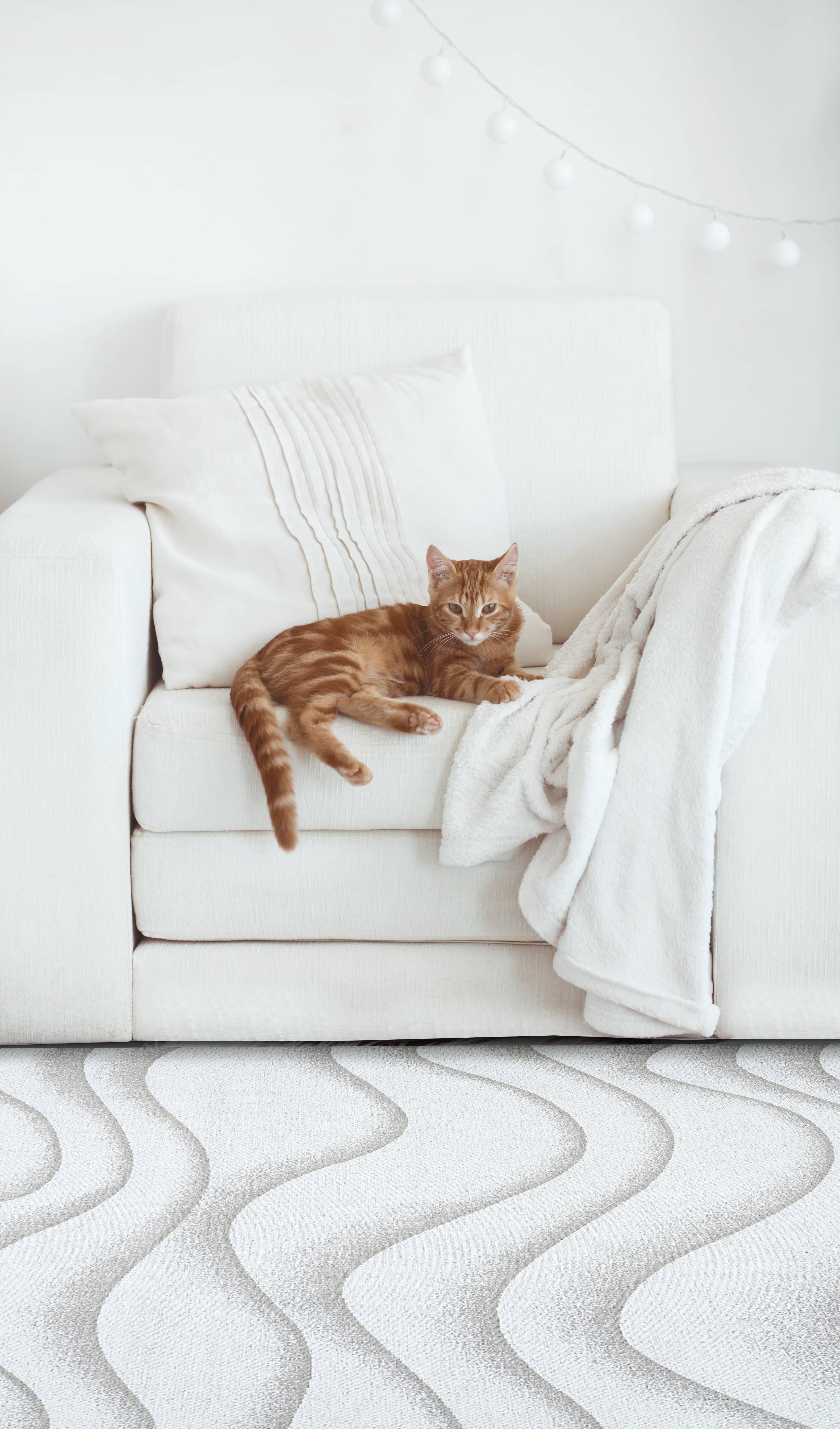 Moderner Teppich SABBIA BEIGE - Waschbarer Teppich Moderner Teppich SABBIA BEIGE - Waschbarer Teppich