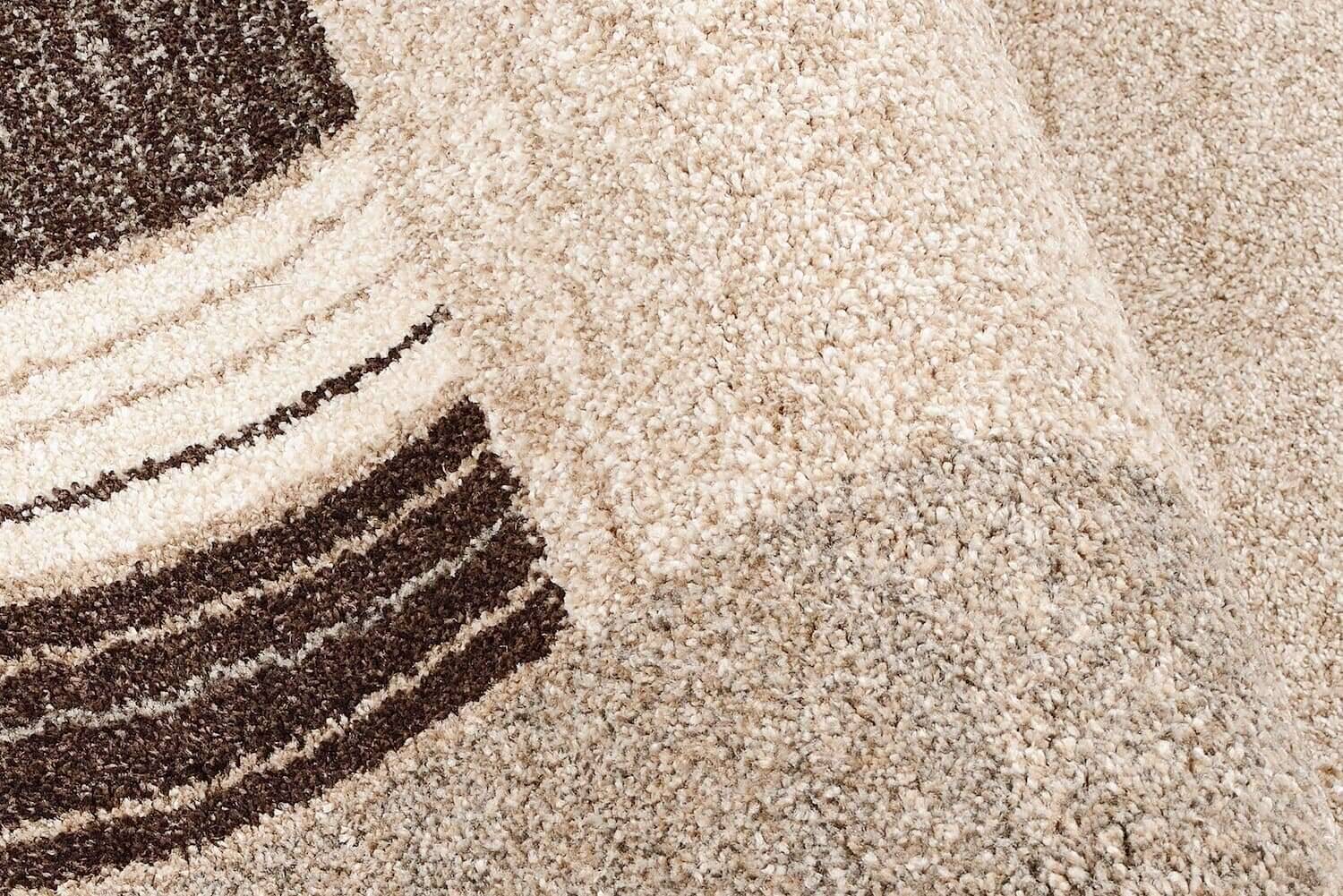 CAF01-616-6 Teppich Castle Flora Teppich Modern mit Bordüre Hochflor Teppich
