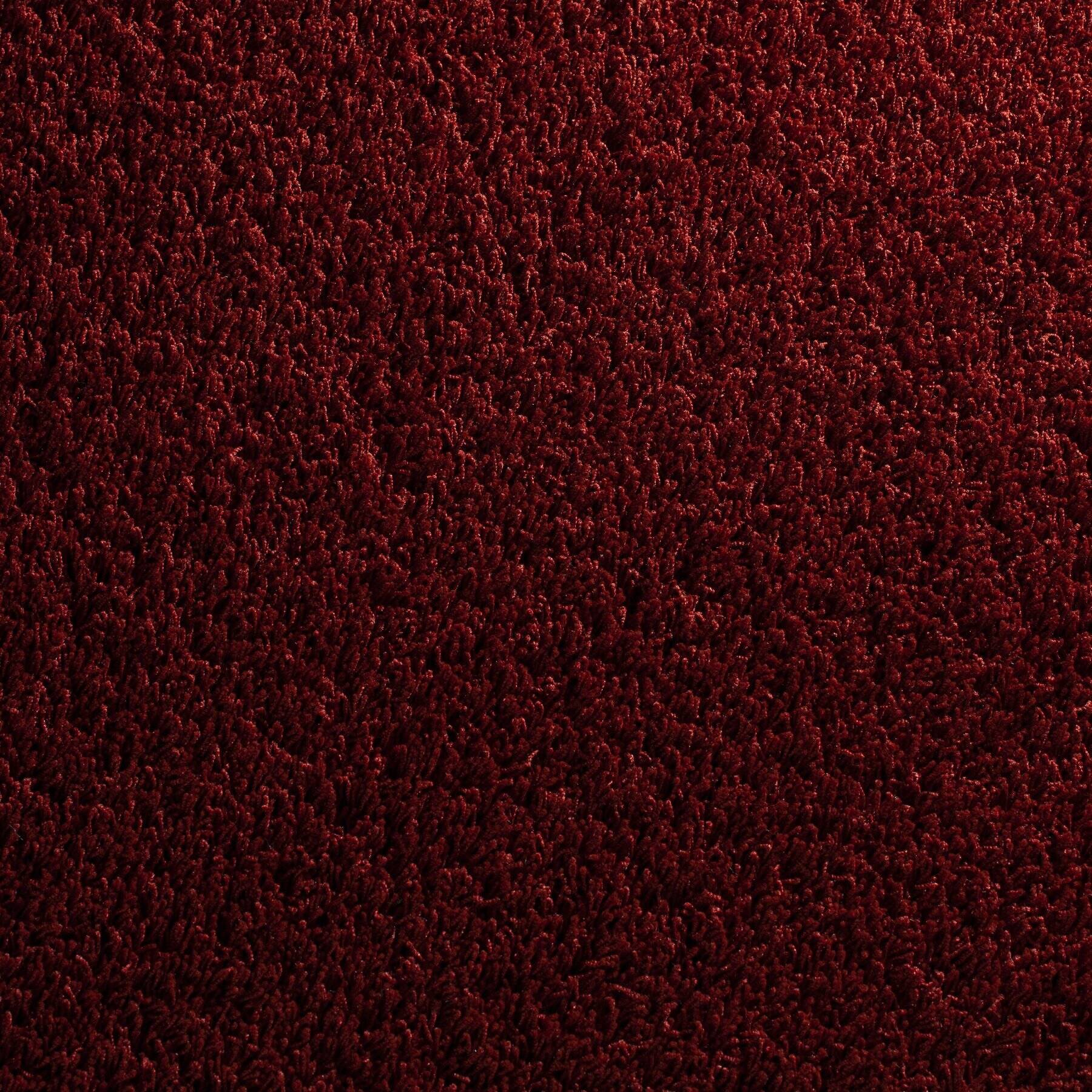 Curly SD von JAB Anstoetz im Wunschmaß Curly SD von JAB Anstoetz im Wunschmaß