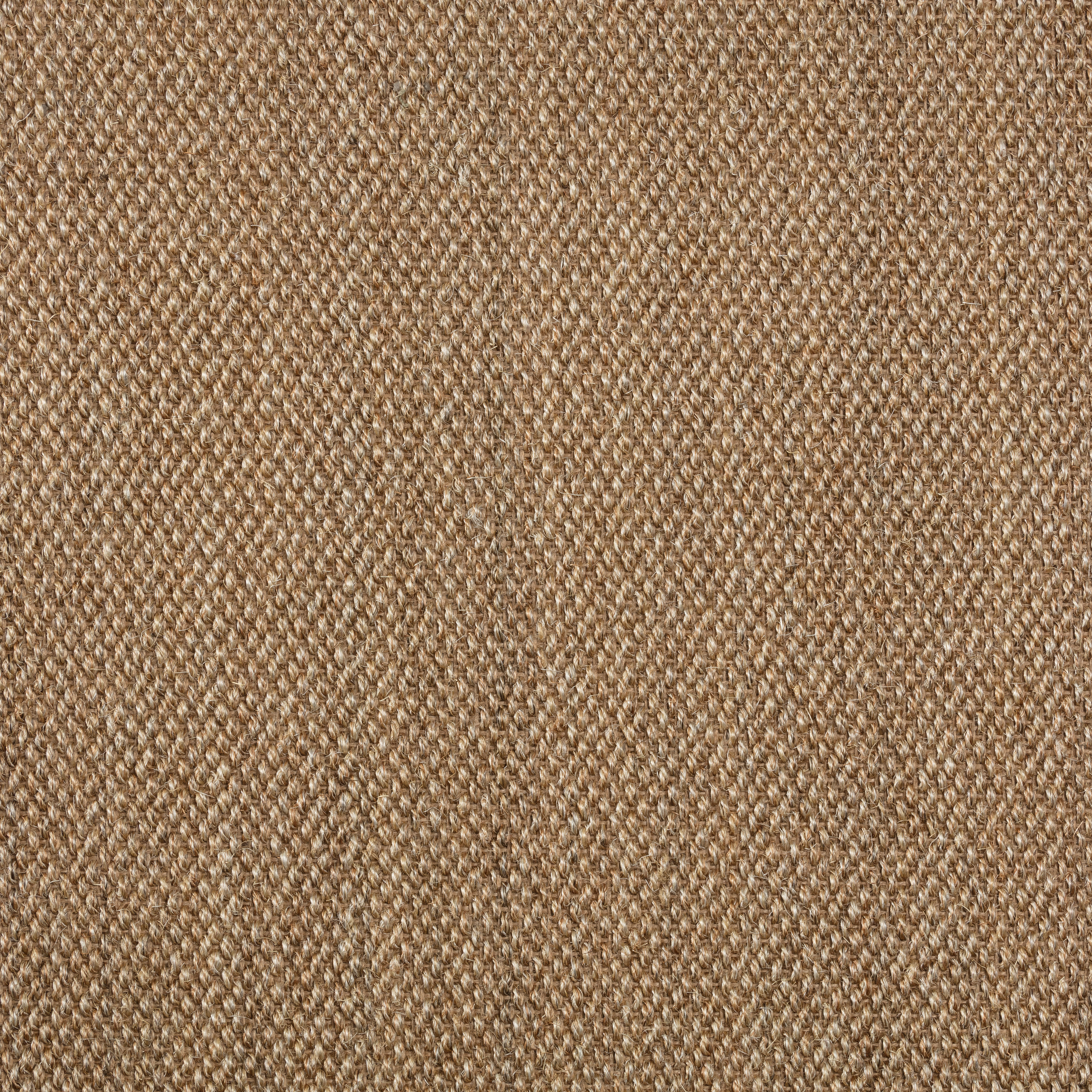 Sisal Teppichboden Barinas 3580/B beschichtet