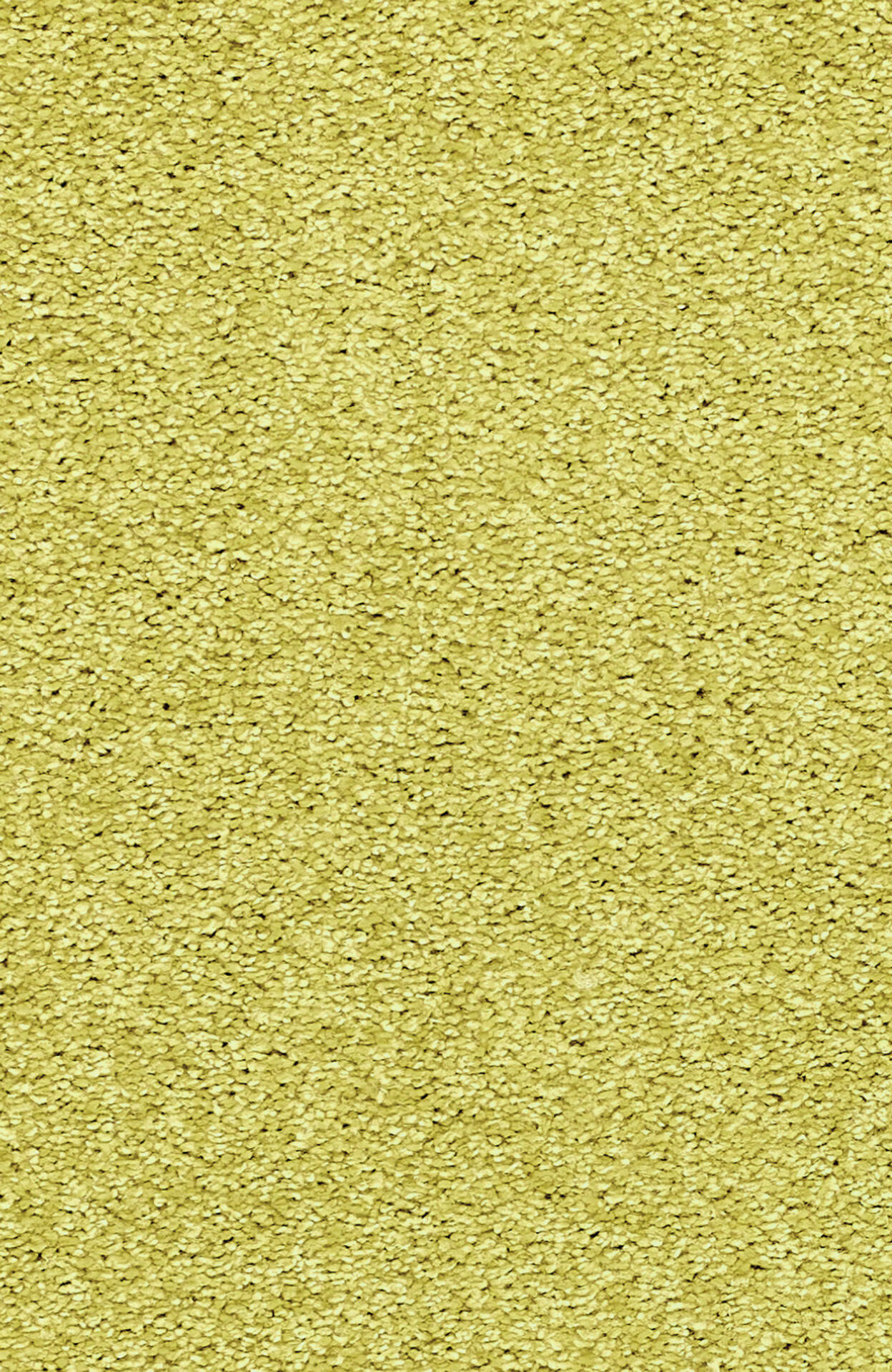 2G20_LUANA_Einzel-wg_(1)