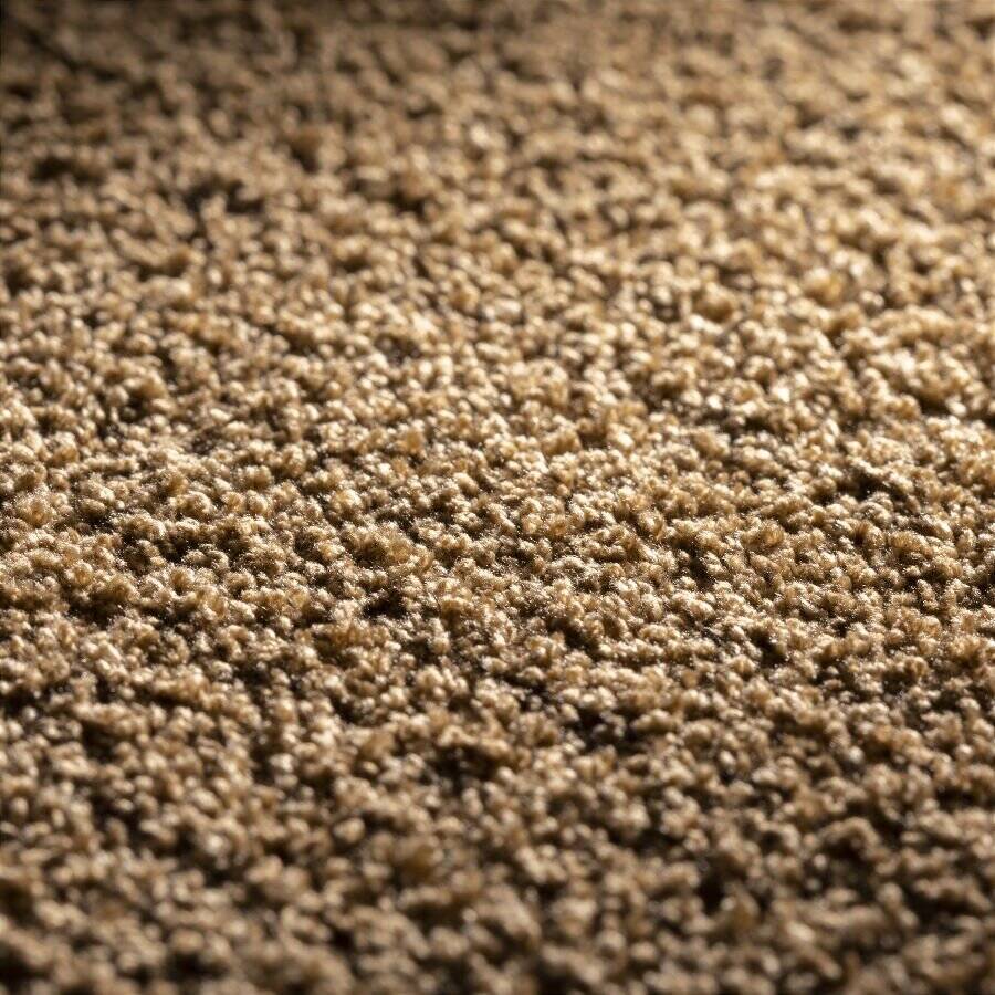 JAB ANSTOETZ Uni Teppich Dreamer im Wunschmaß braun JAB ANSTOETZ Uni Teppich Dreamer im Wunschmaß braun