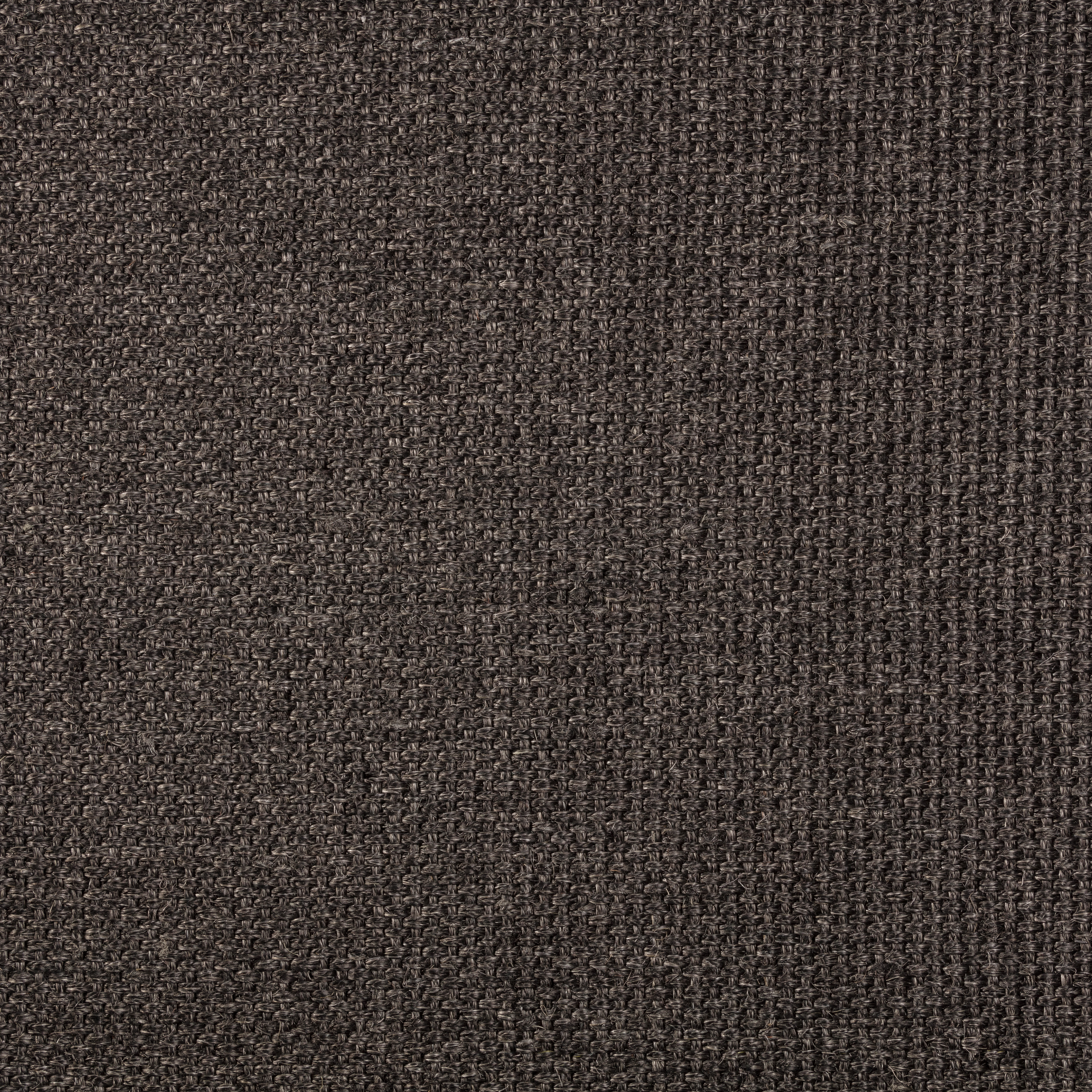 Sisal Teppich Quito 3230/B mit Baumwollbordüre