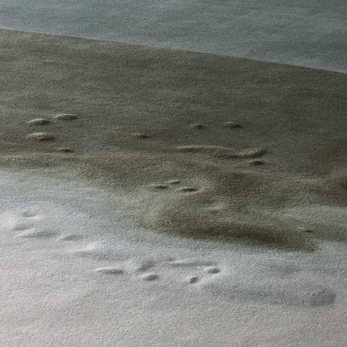 ESPRESSO TONIC - ICONS – Carpets with Soul by JAB ANSTOETZ ESPRESSO TONIC - ICONS – Carpets with Soul by JAB ANSTOETZ