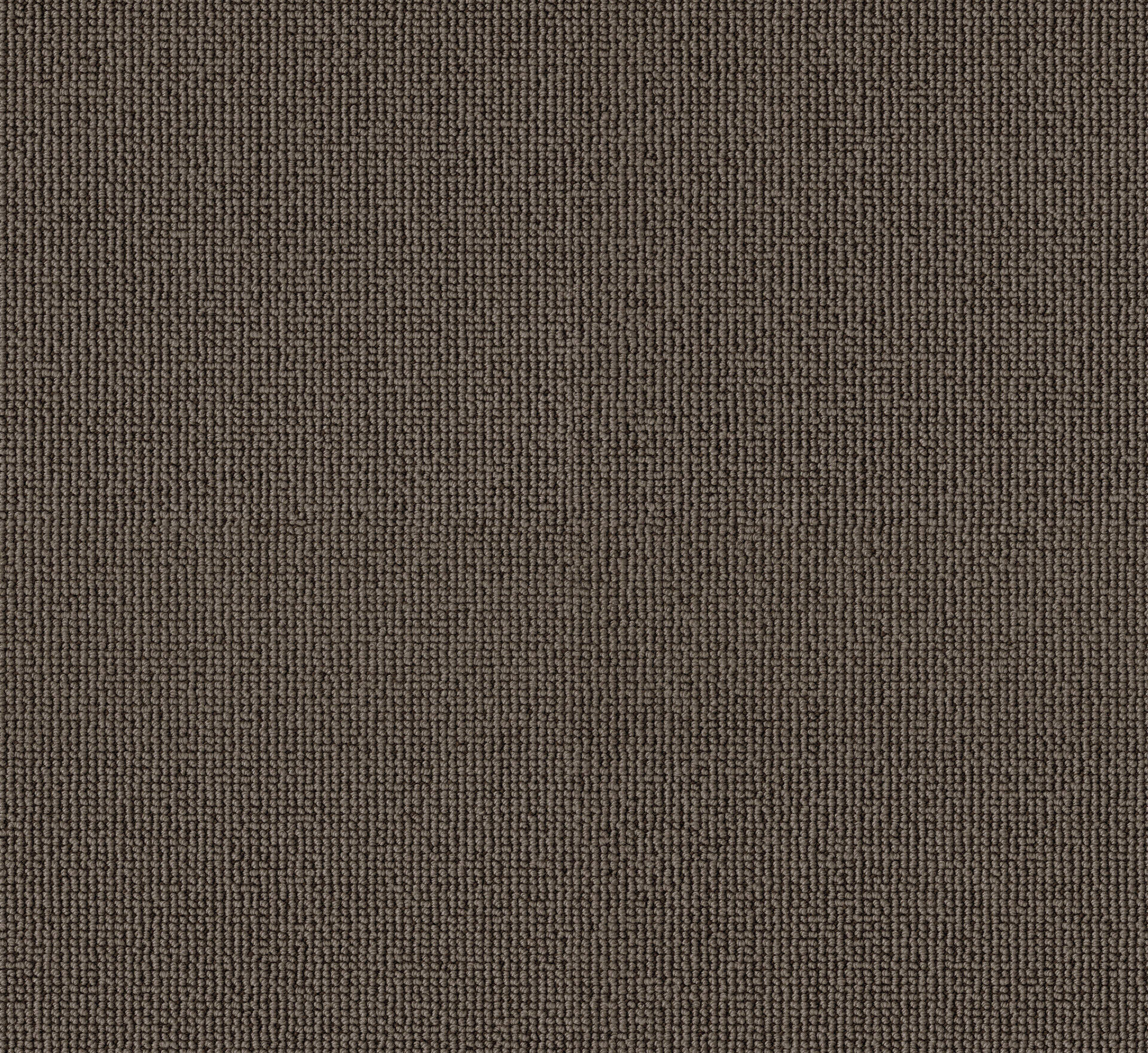 PASSION and Rugs "Rustica" Vorwerk Teppichboden PASSION and Rugs "Rustica" Vorwerk Teppichboden