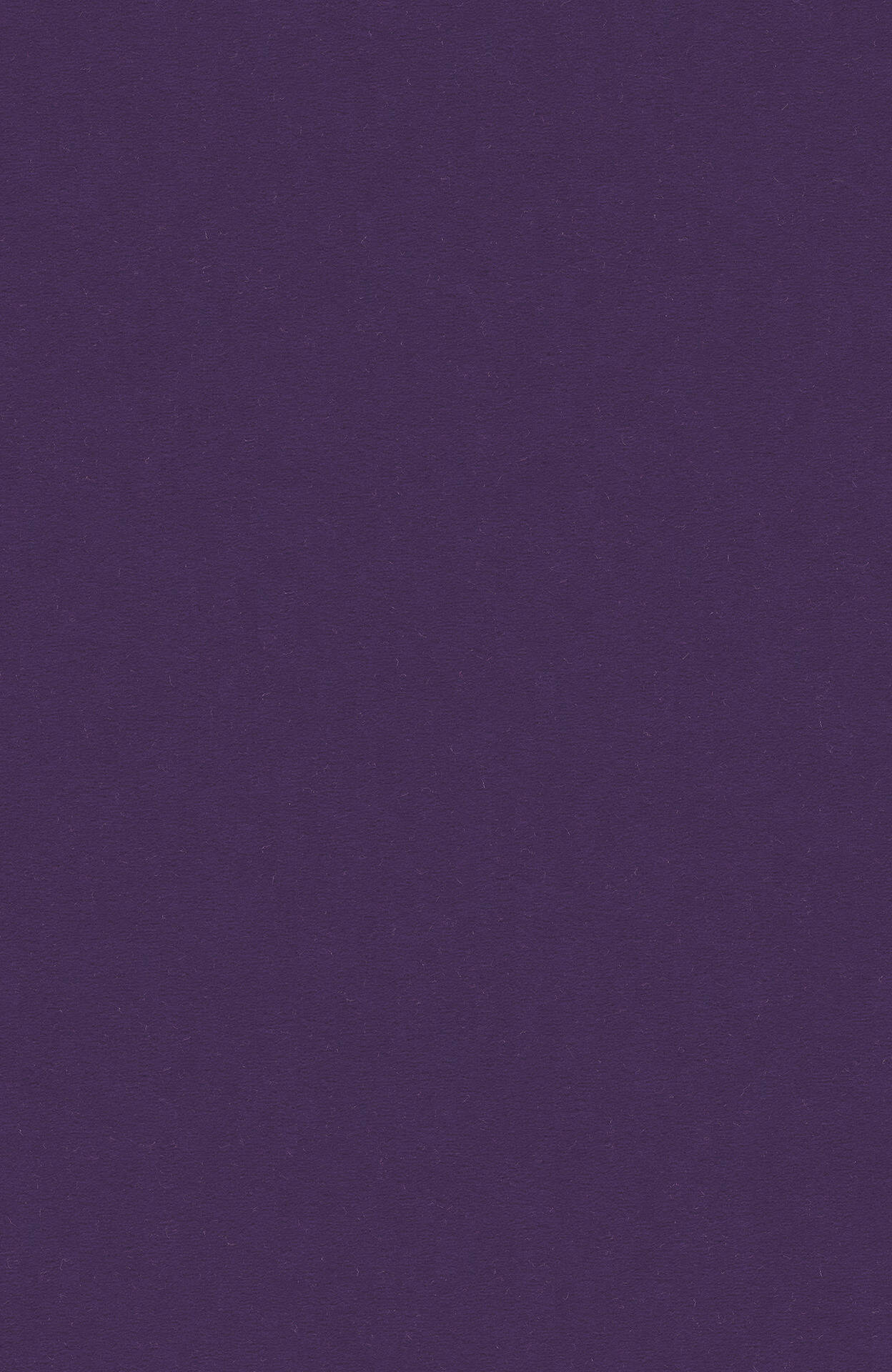 3S55_MODENA_Einzel-wg_(1)