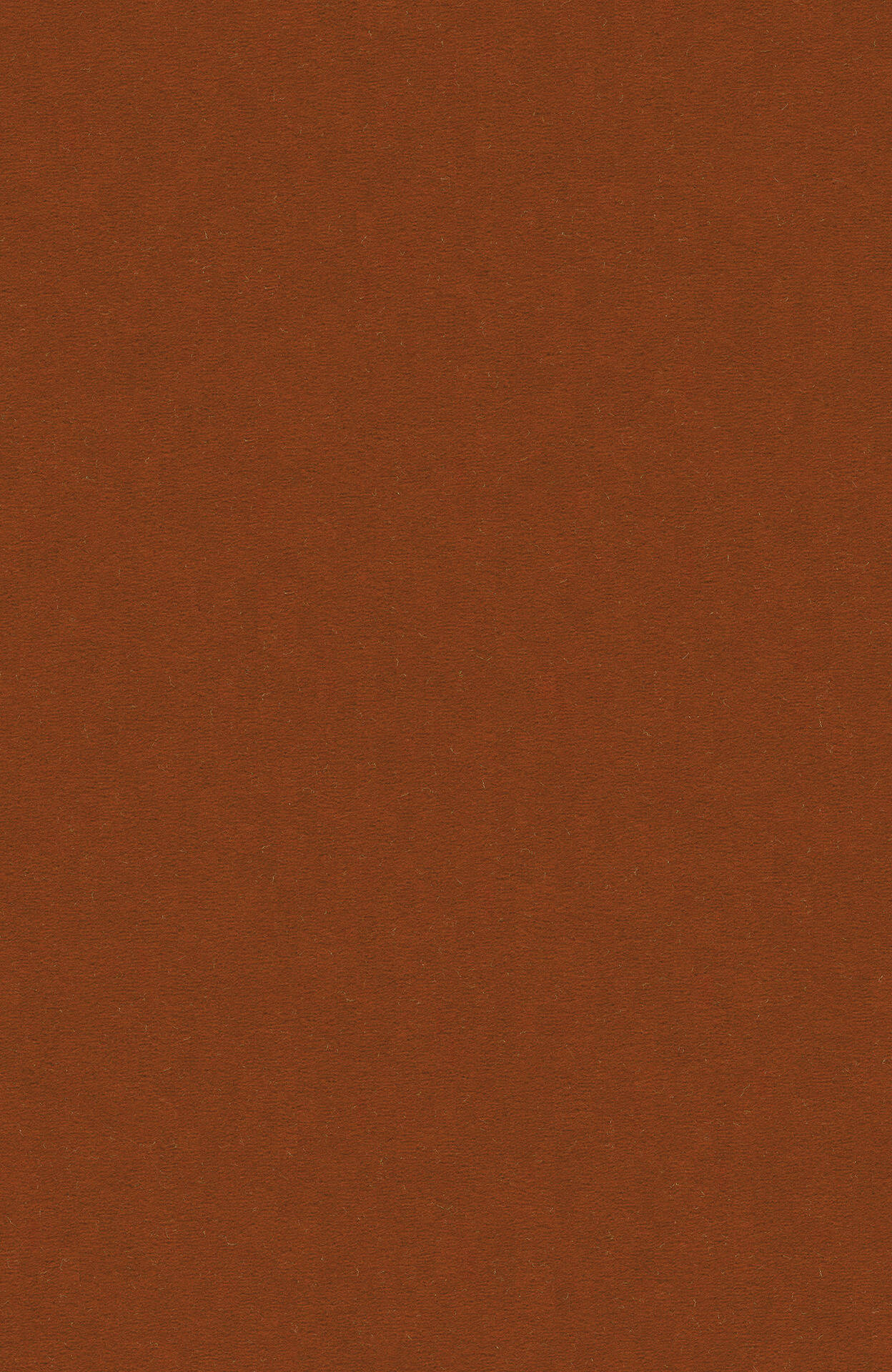 PASSION and Rugs "Modena" Vorwerk Teppich nach Maß PASSION and Rugs "Modena" Vorwerk Teppich nach Maß