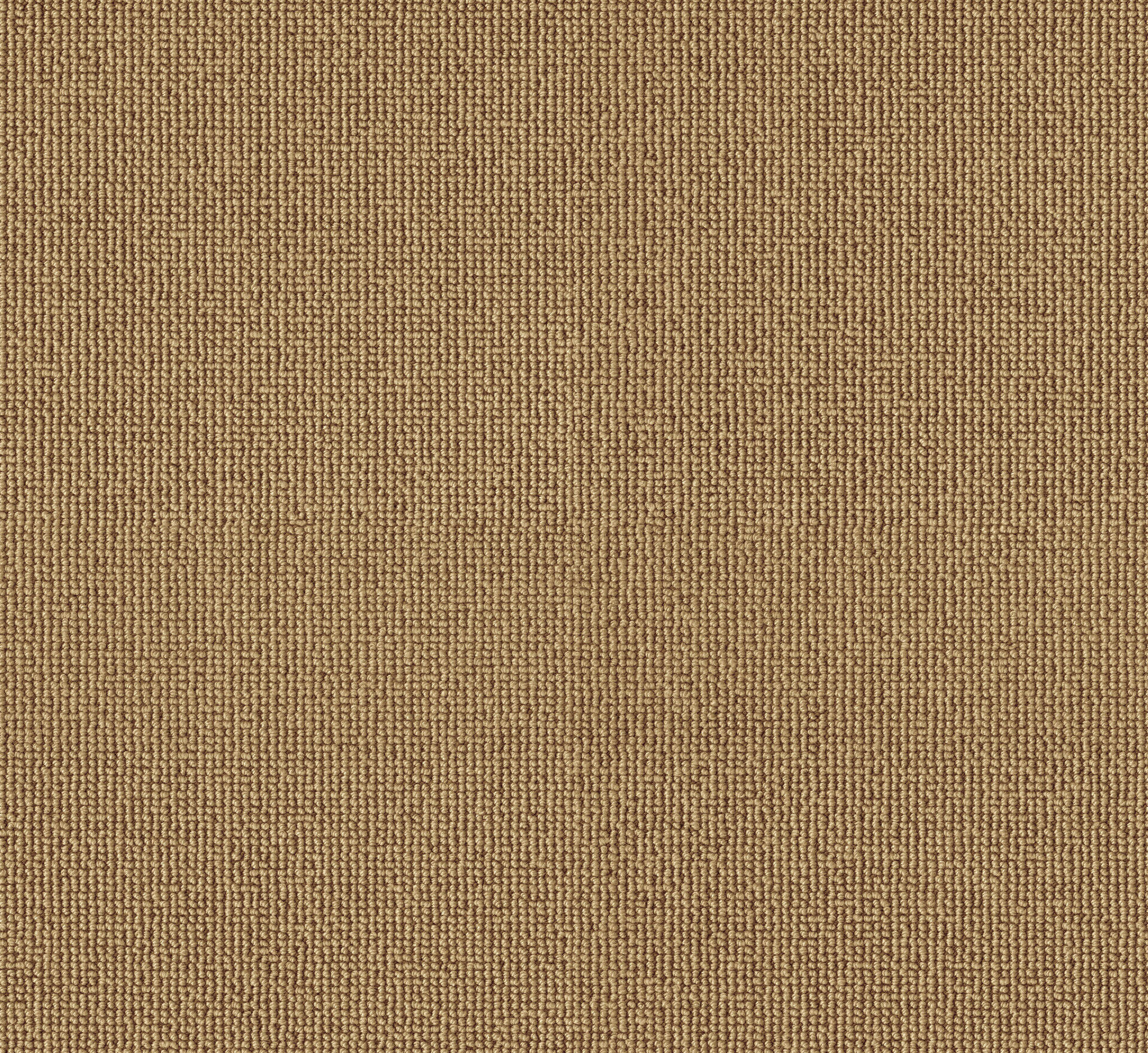 PASSION and Rugs "Rustica" Vorwerk Teppichboden PASSION and Rugs "Rustica" Vorwerk Teppichboden