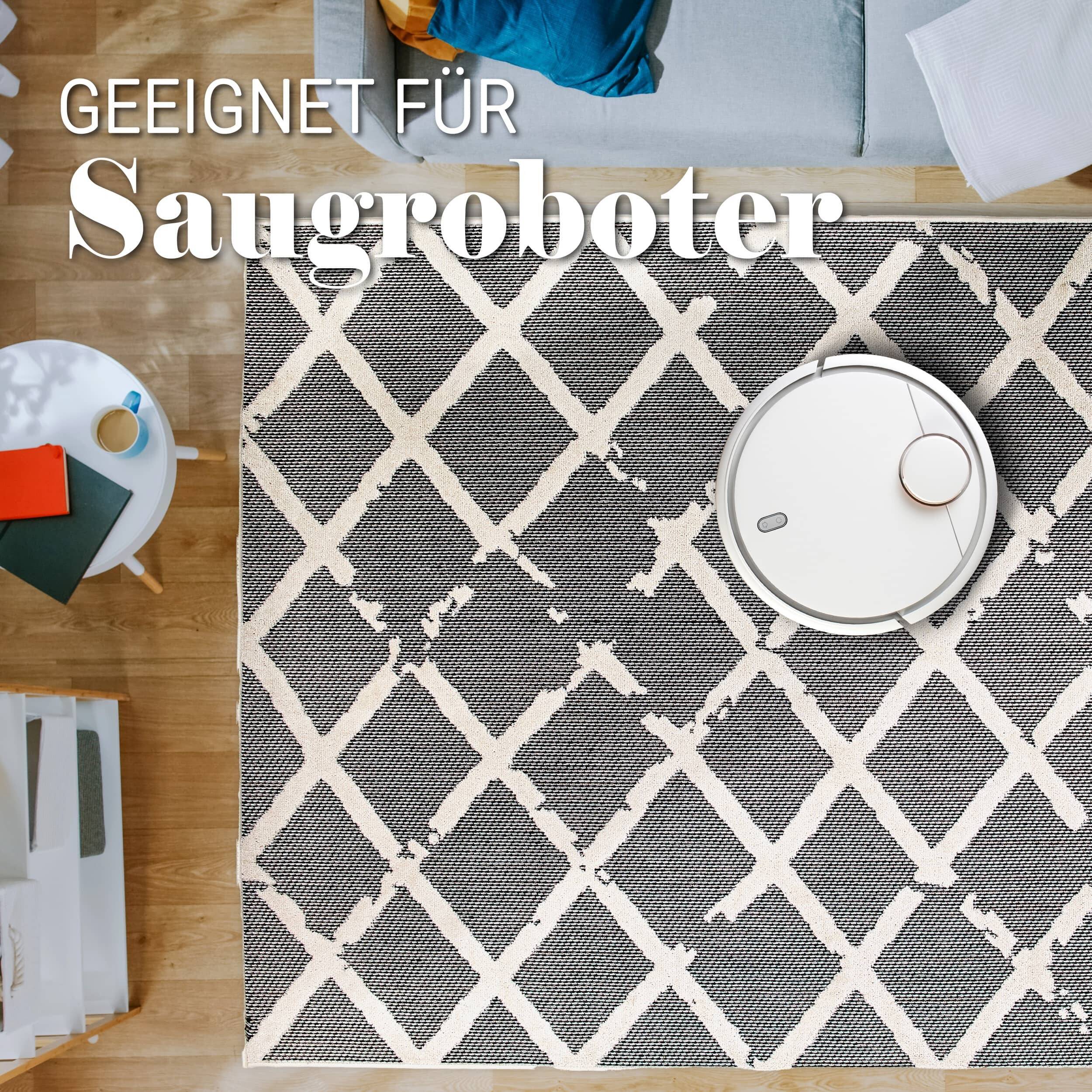 In- und Outdoor Teppich Serina D.251 C.004 Rauten grau/weiß