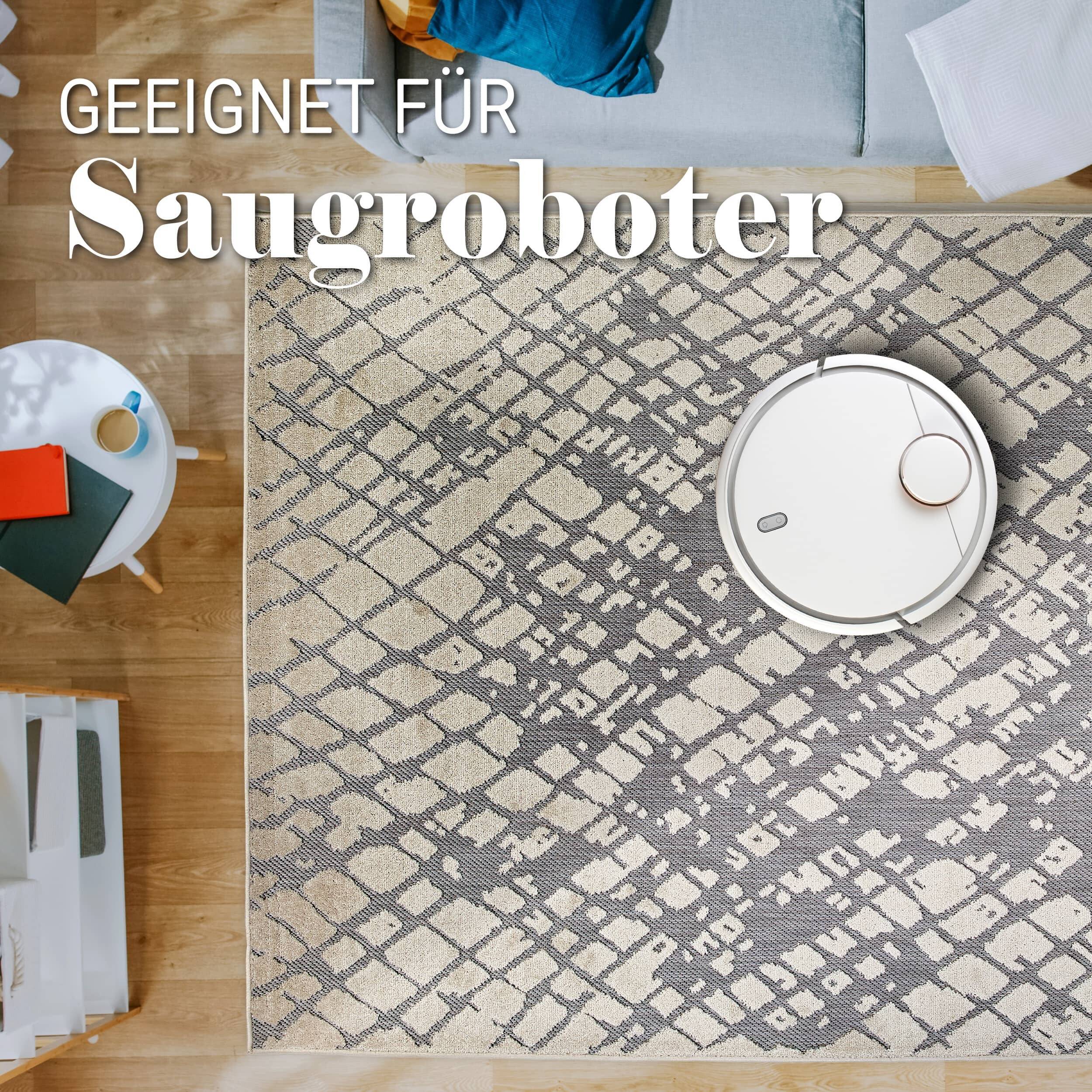 In- und Outdoor Teppich Serina D.254 C.004 Striche grau/weiß