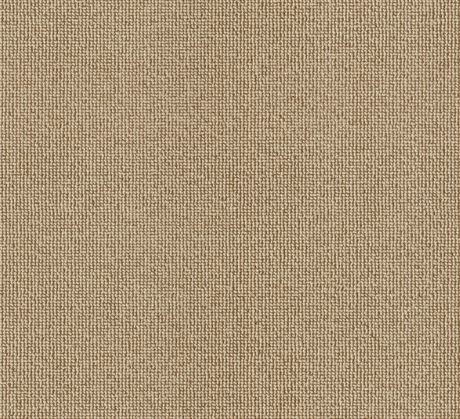 PASSION and Rugs "Rustica" Vorwerk Teppichboden