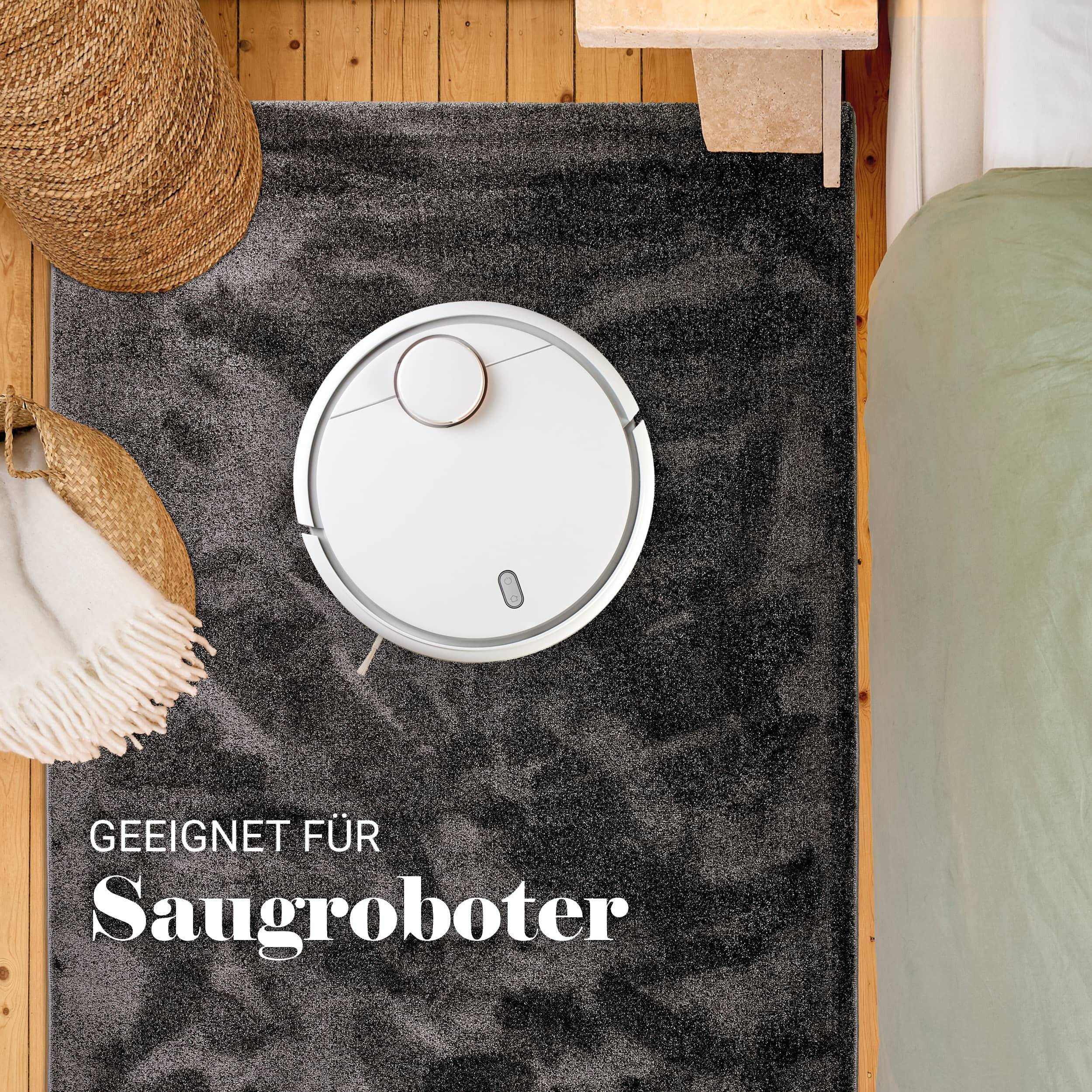 Wohnteppich Sam